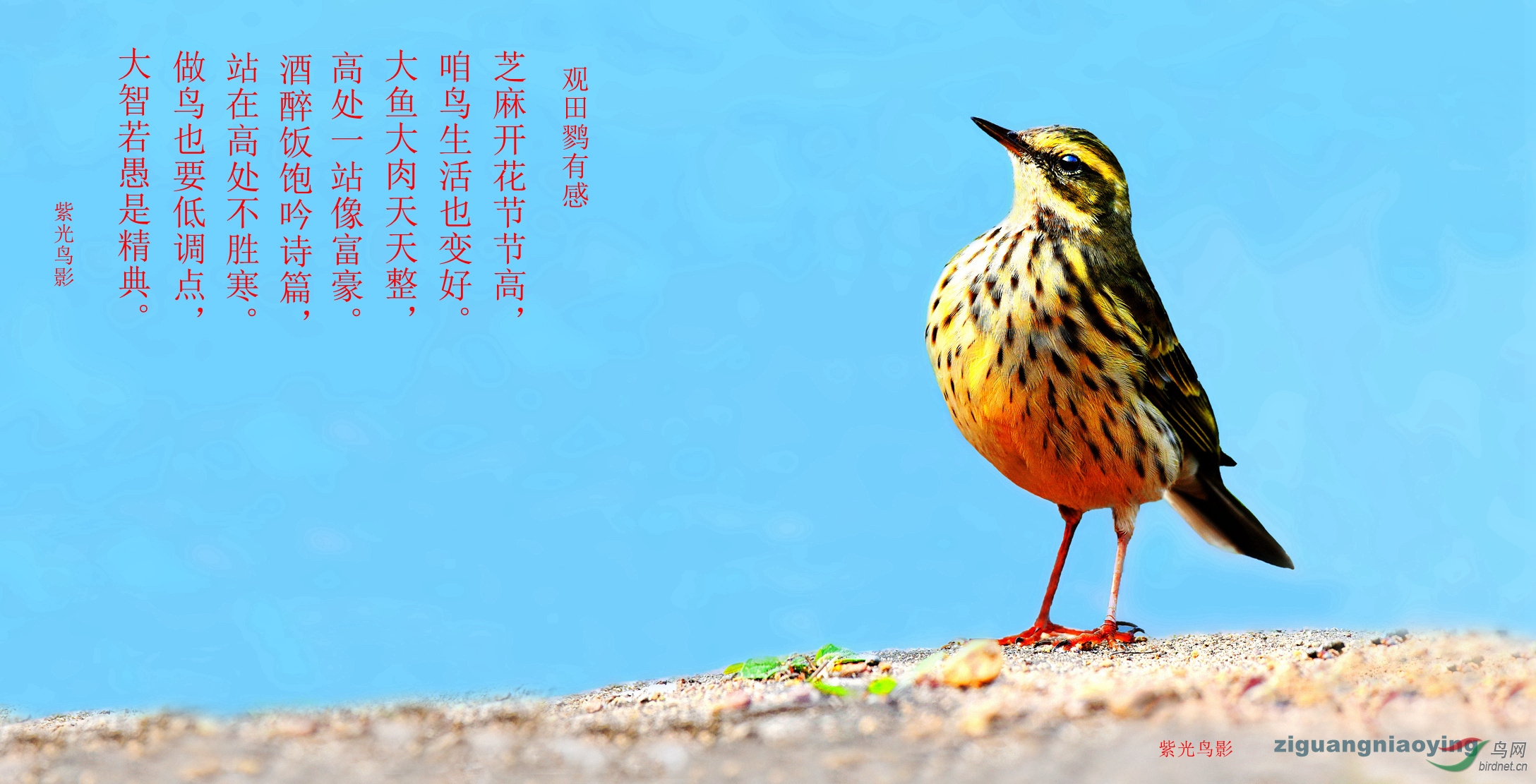 ABM_2782_����_����_����.jpg