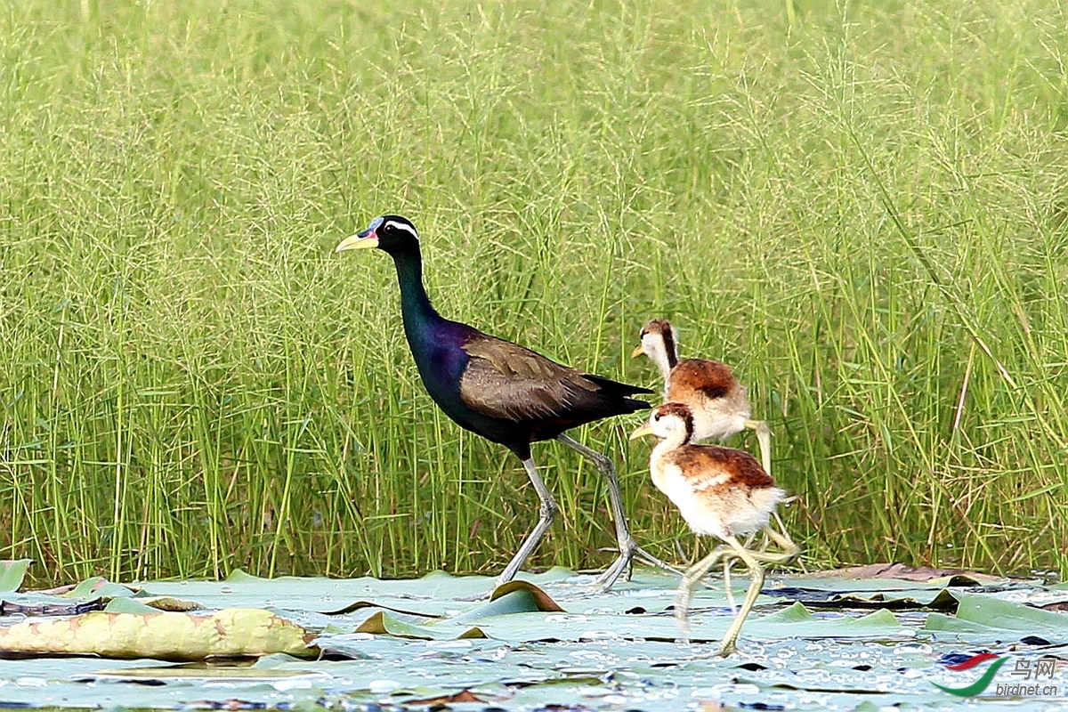 ꖹ� ��ʦ����.jpg