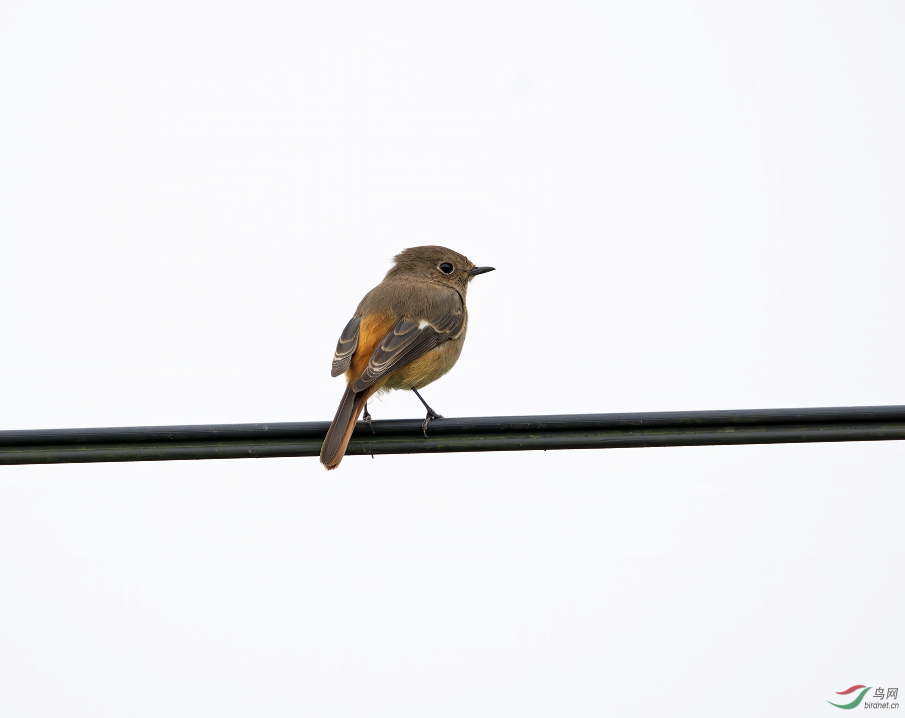 DSC_9807.jpg