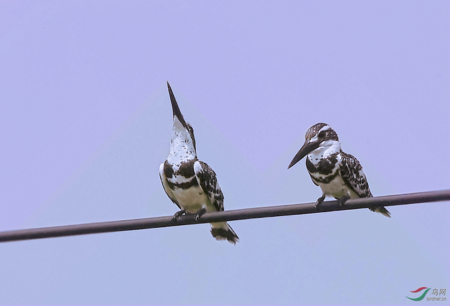 �������幧����Ůݰ��