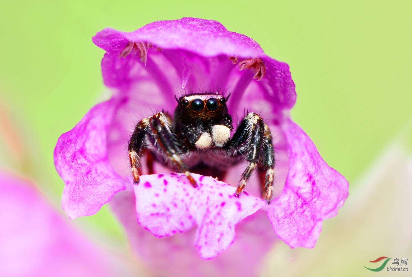 DSC_9415.jpg