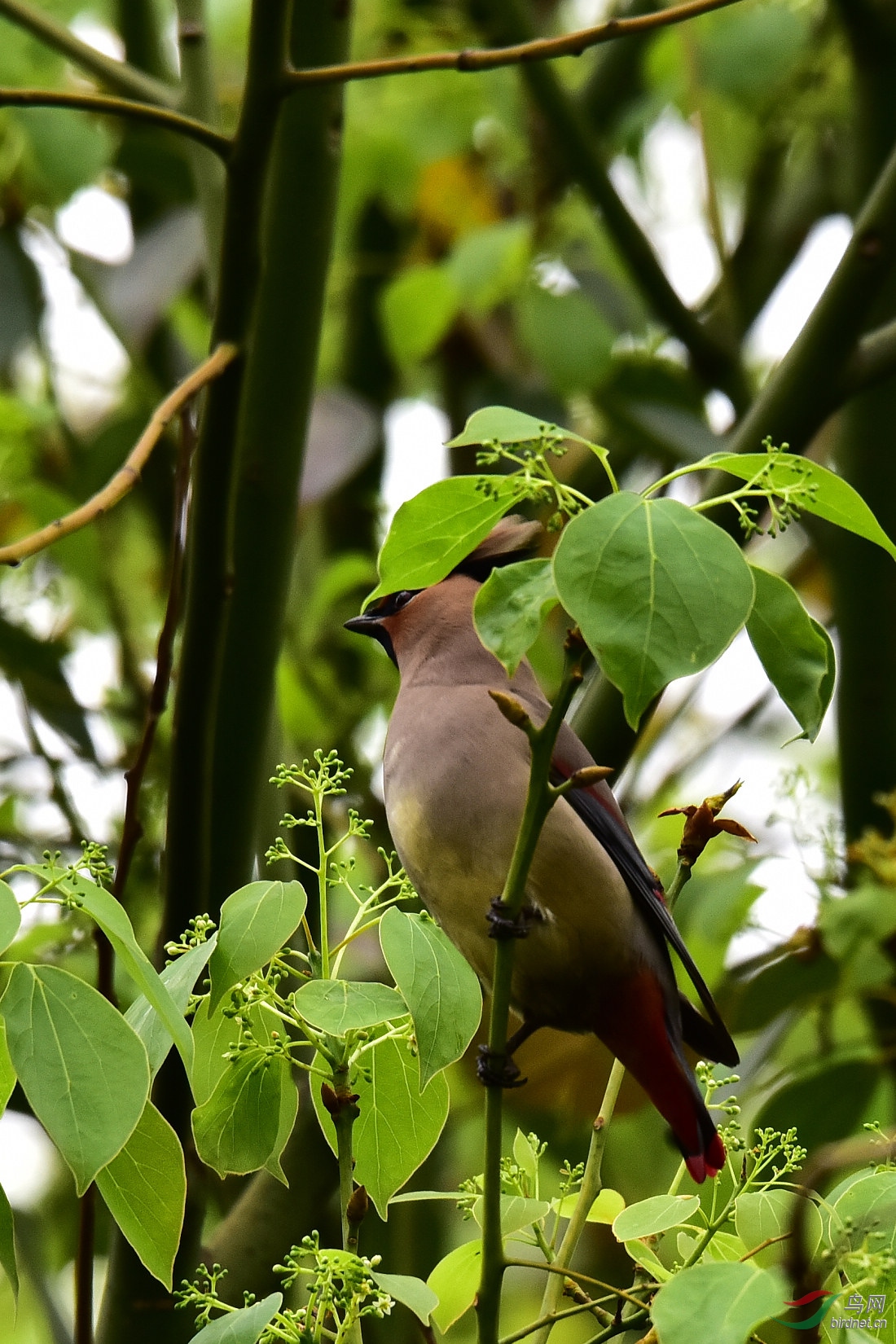 DSC_0851.JPG