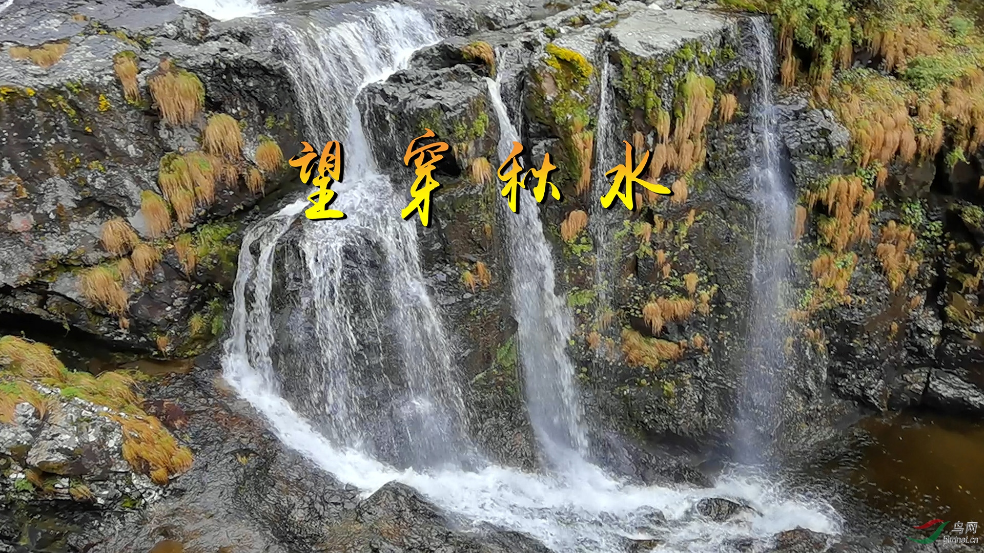 main.00_00_01_25.Still002-2.jpg