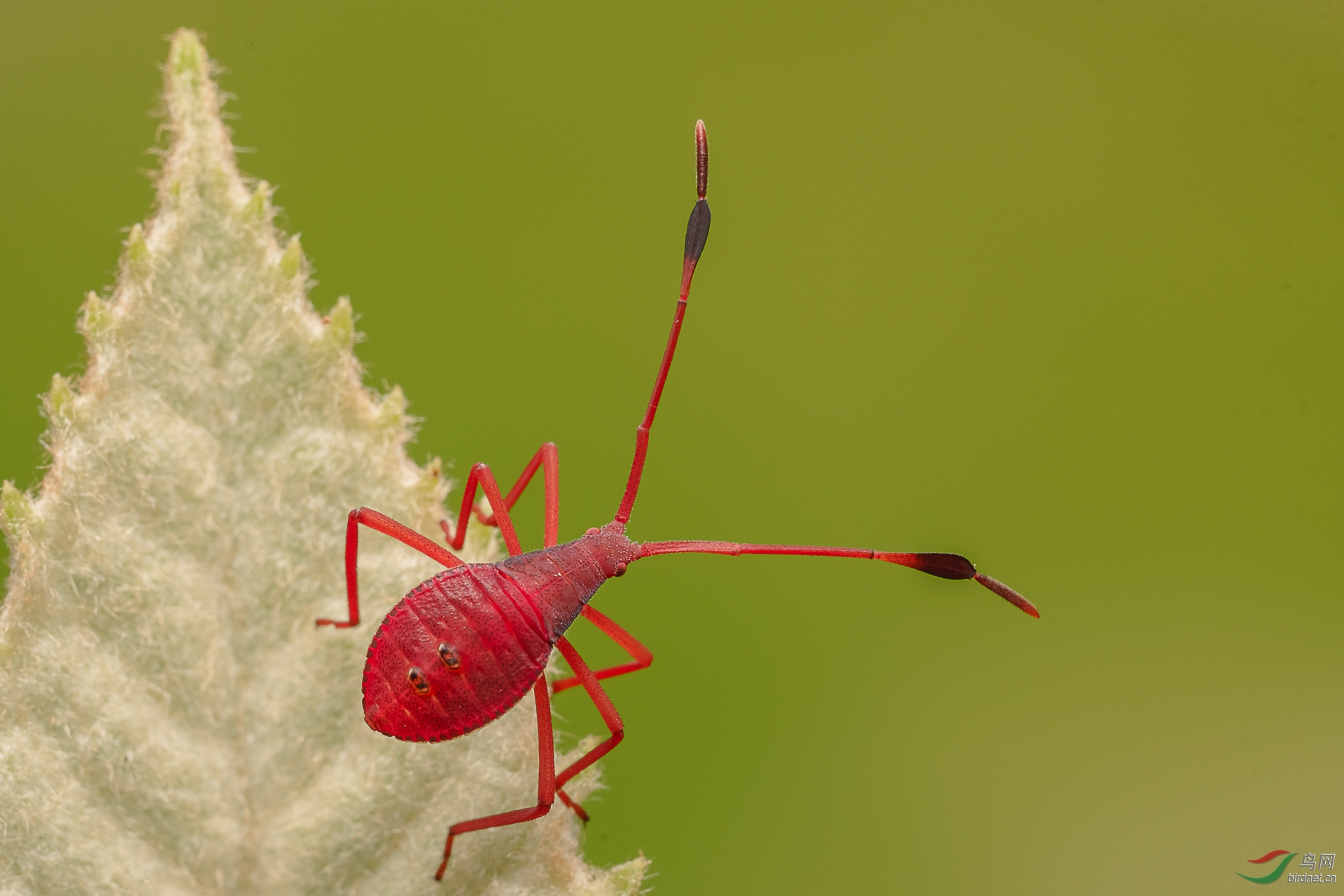 δ����-07429.jpg