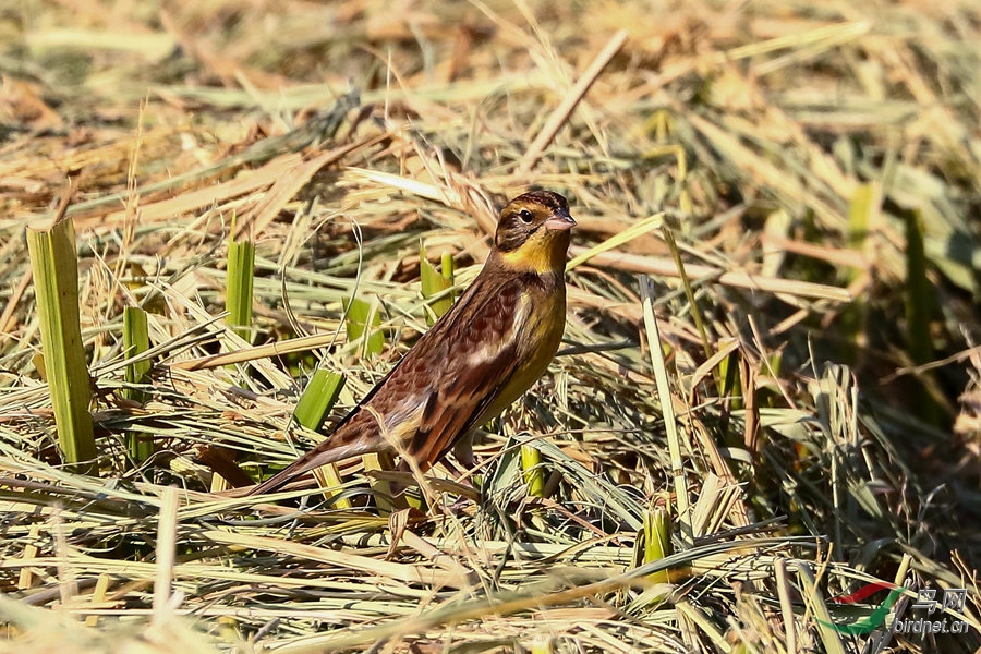 202010241100-1_副本.jpg