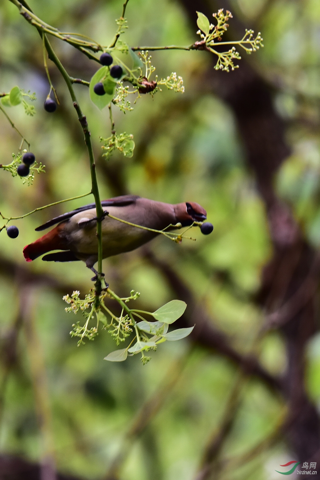 DSC_0860.JPG