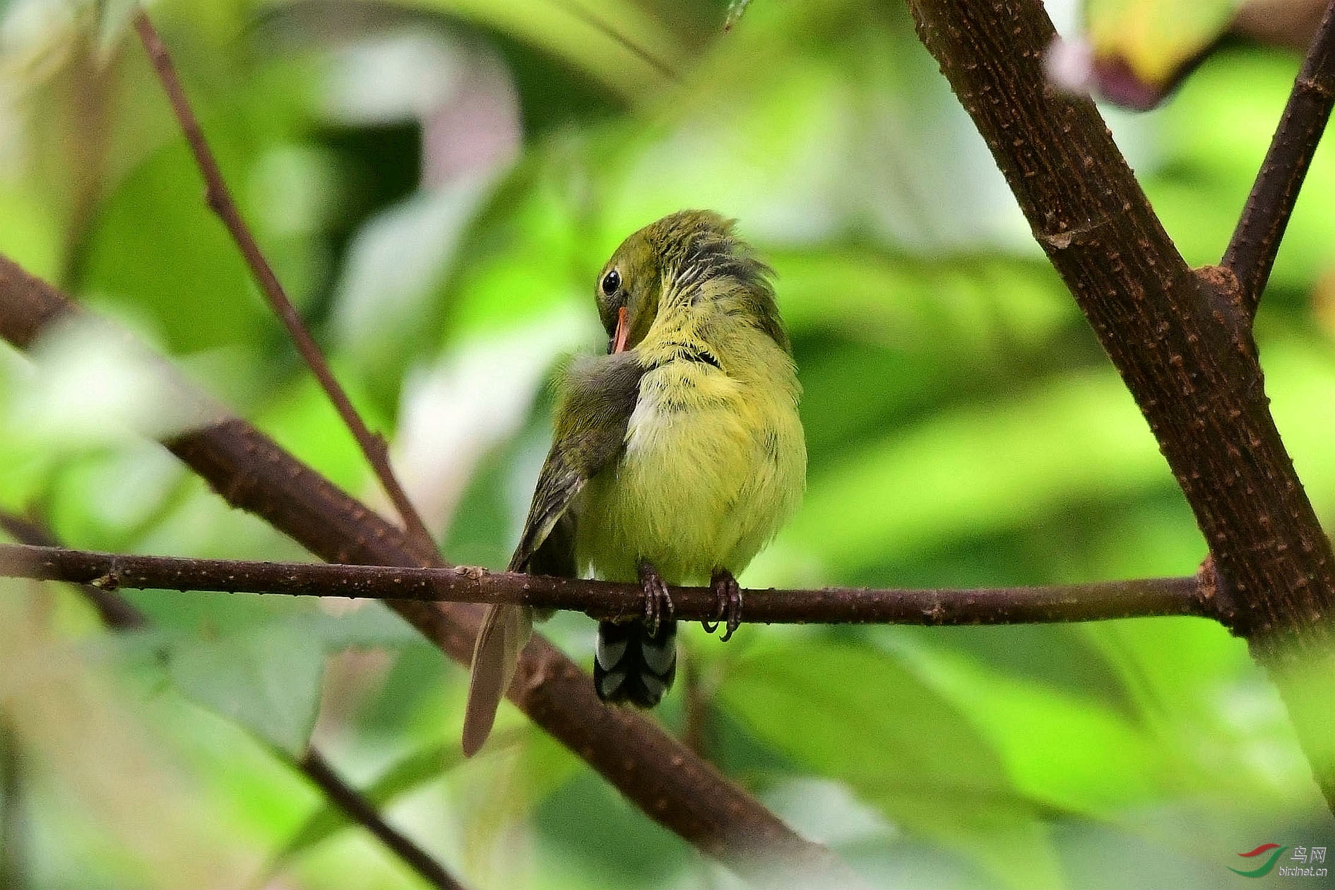 DSC_8428_����.jpg