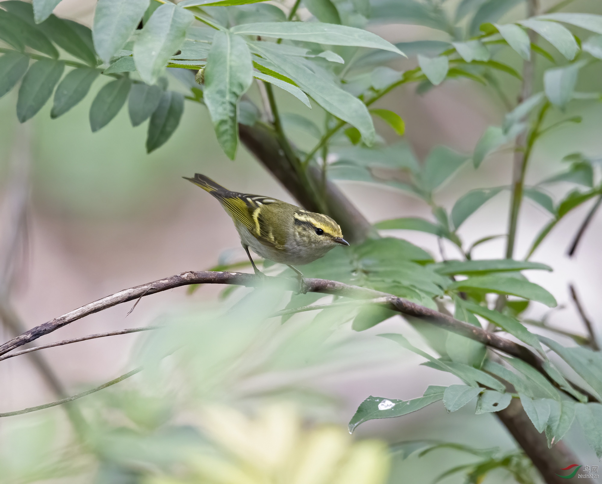 DSC_9876.jpg