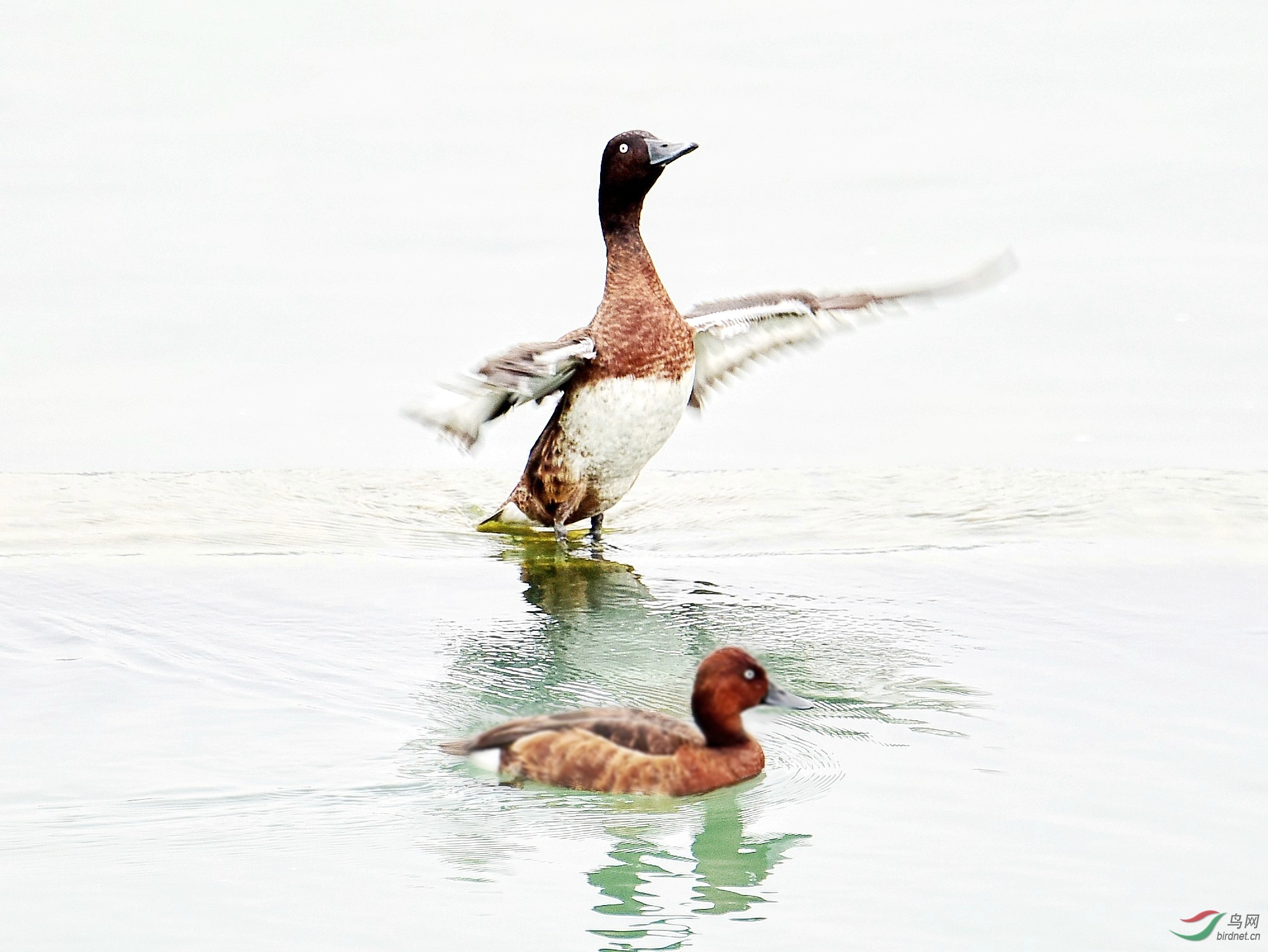 DSC_7878_conew4.jpg