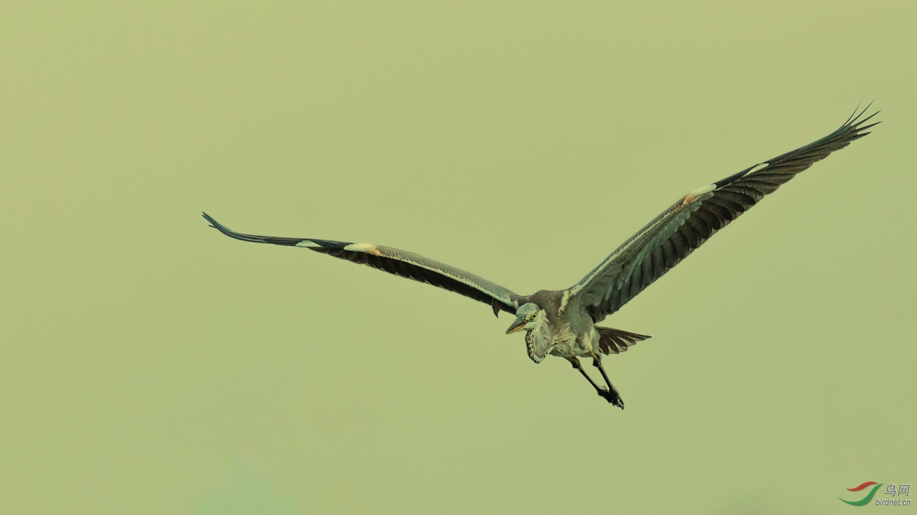 CU9A7509_HZP.jpg