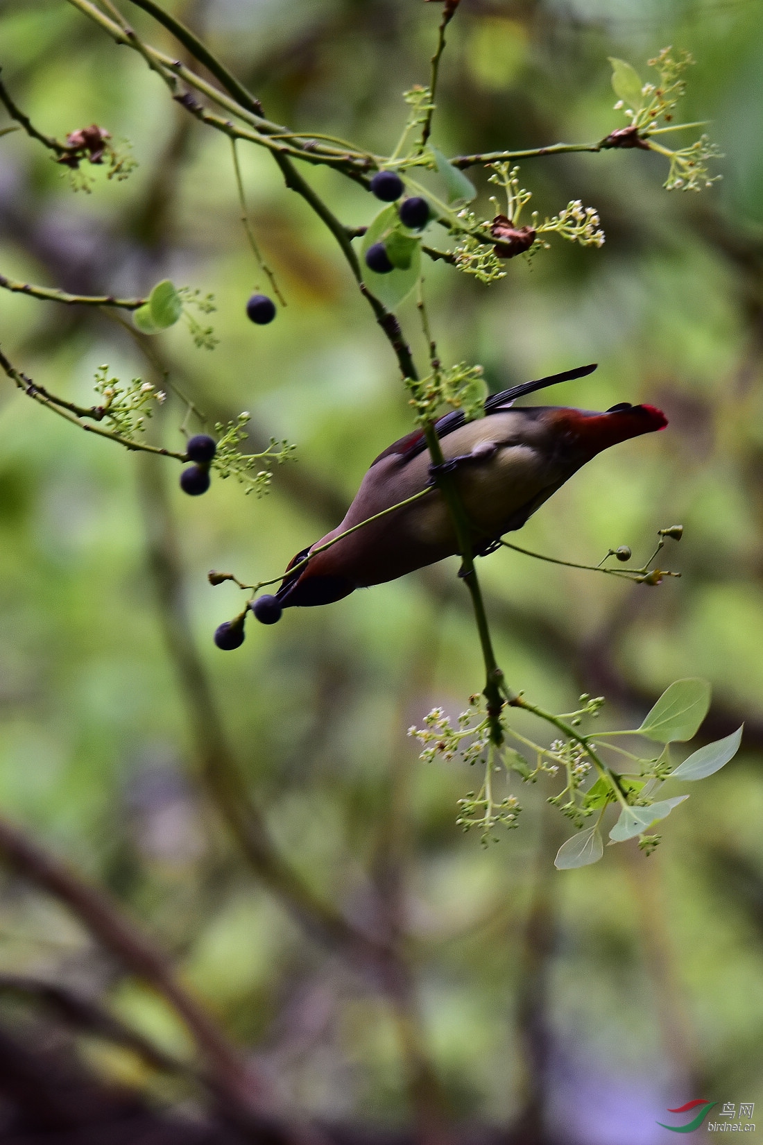 DSC_0867.JPG