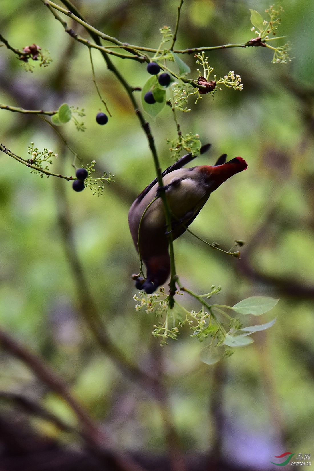 DSC_0868.JPG