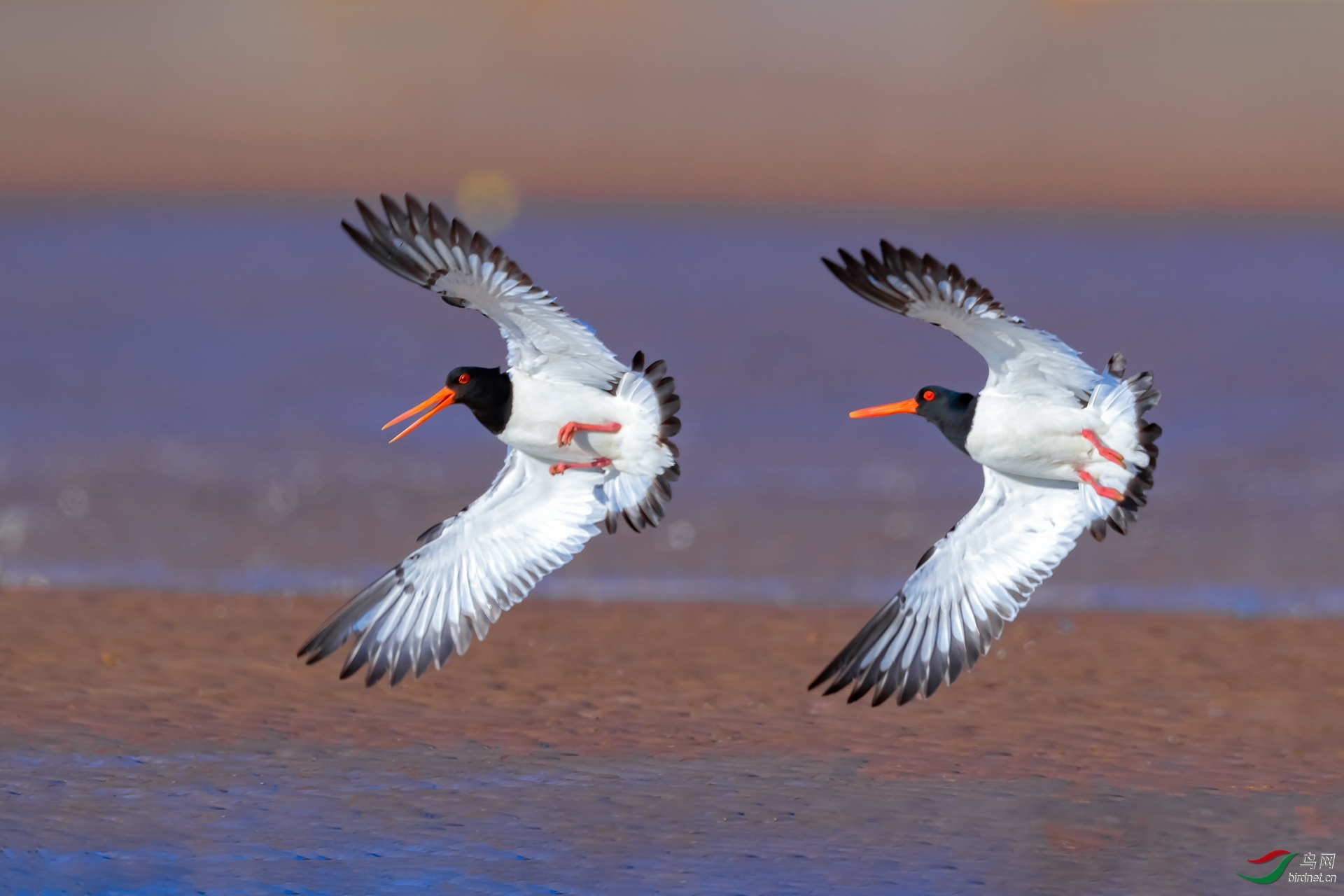 �����ѩ ��ʦ����������ʡ������.jpg