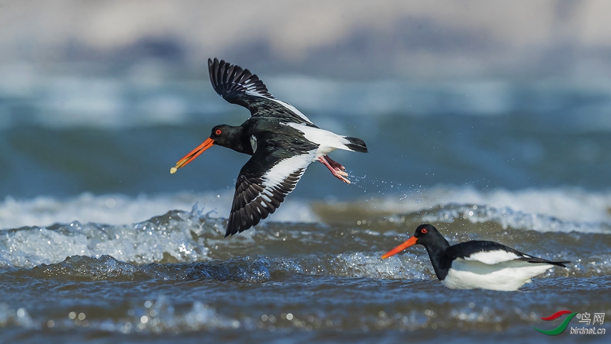 ���� ��ʦ����������ʡ������.jpg