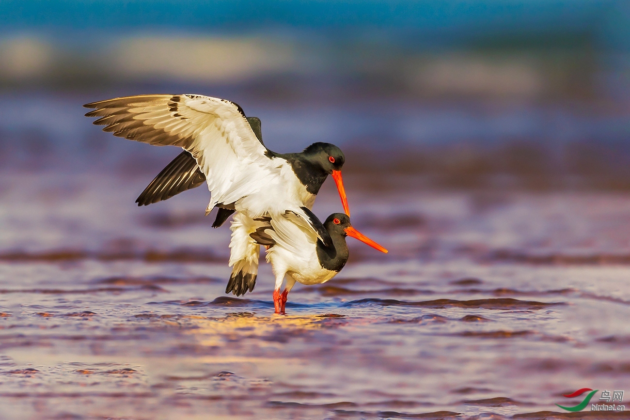 ˲������ ��ʦ����������ʡ������.jpg