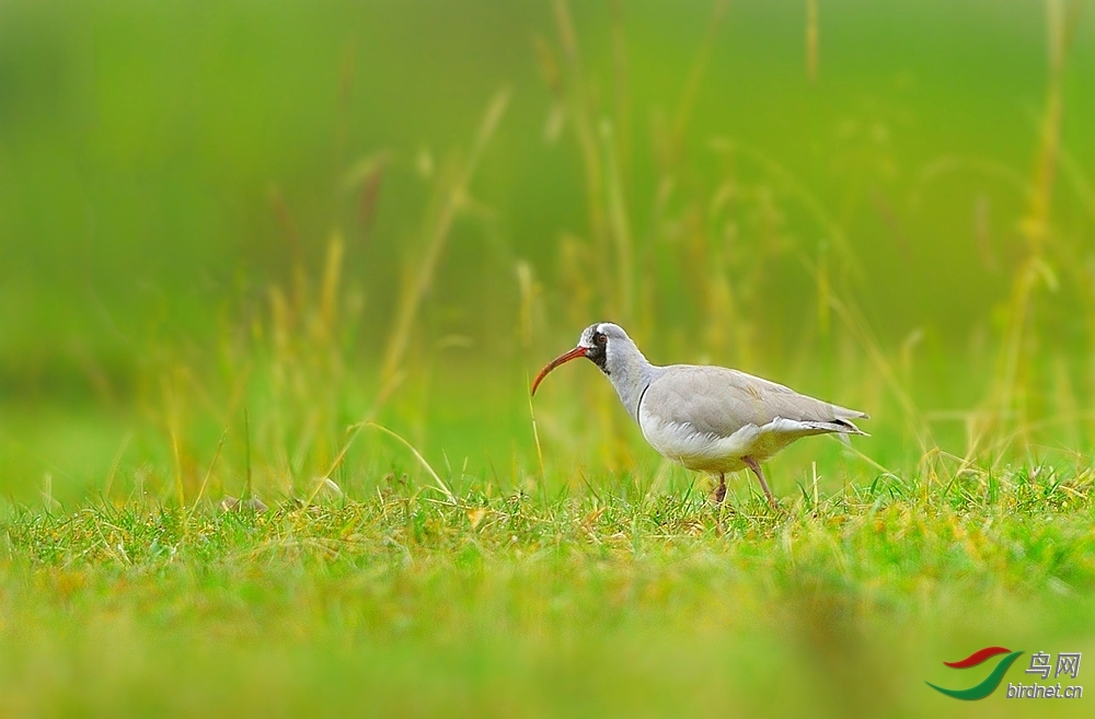 ֪������ ��ʦ�����ڸ���µ��.jpg