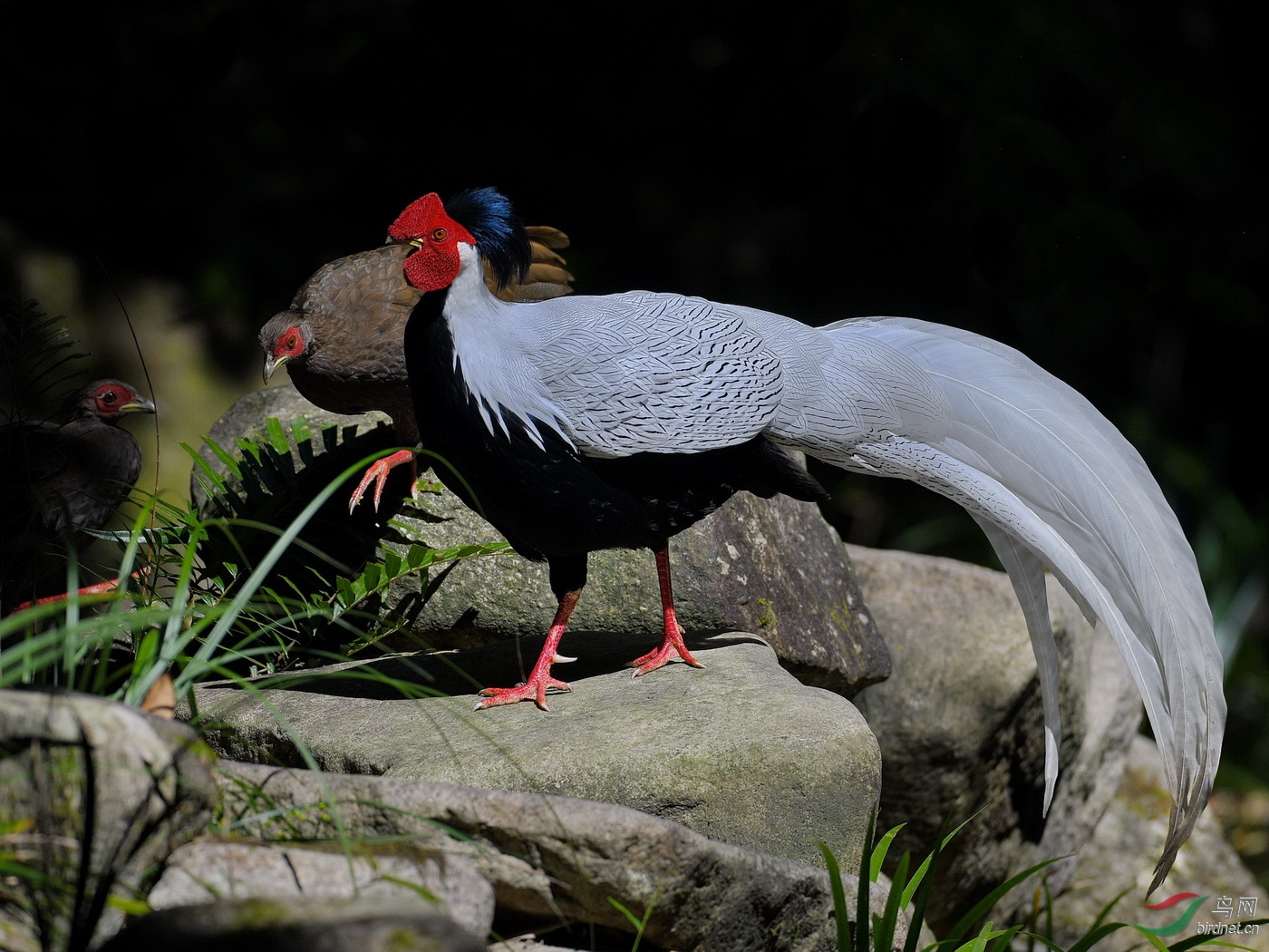 DSC_2798.JPG