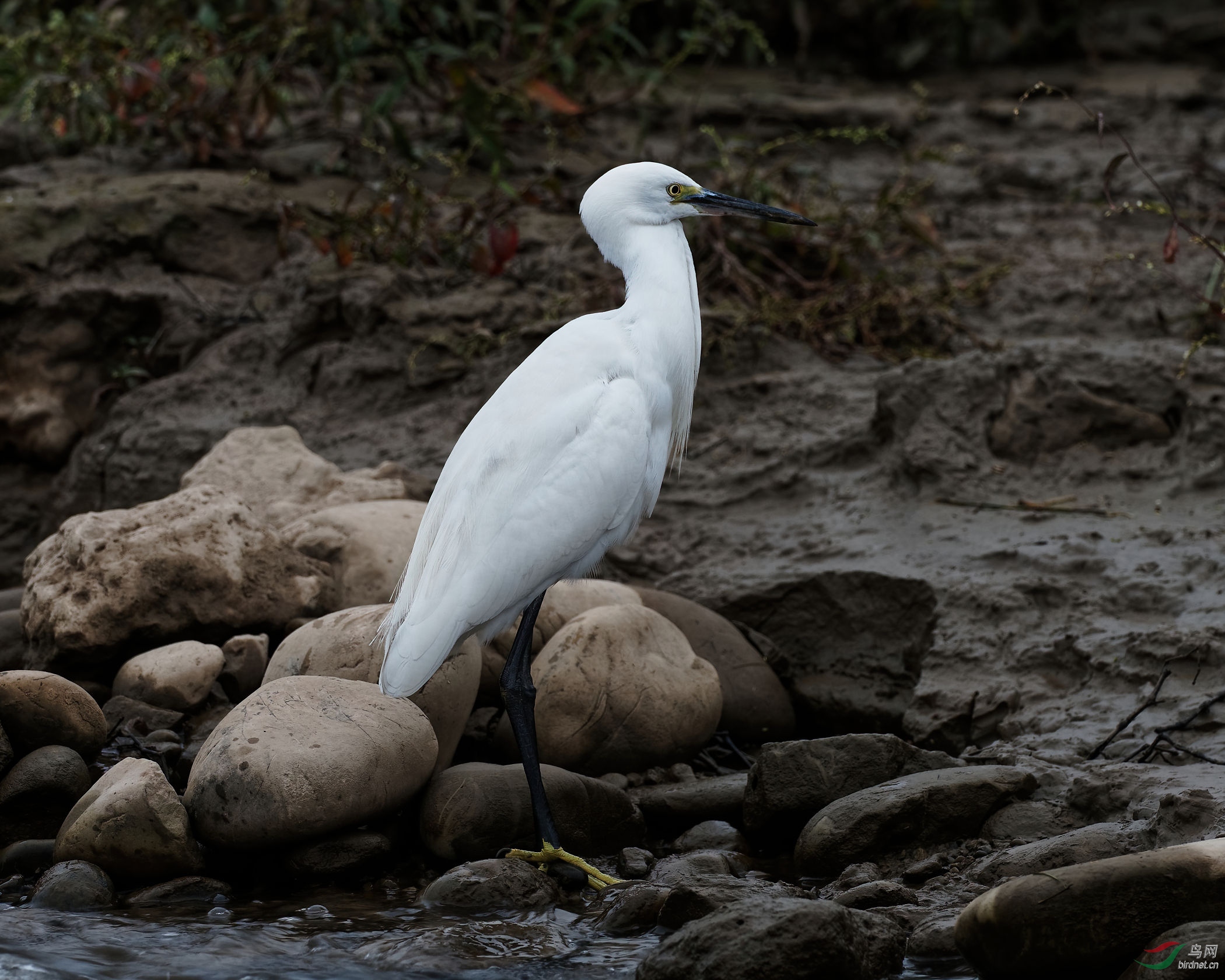 PA250108_DxO-d2.jpg