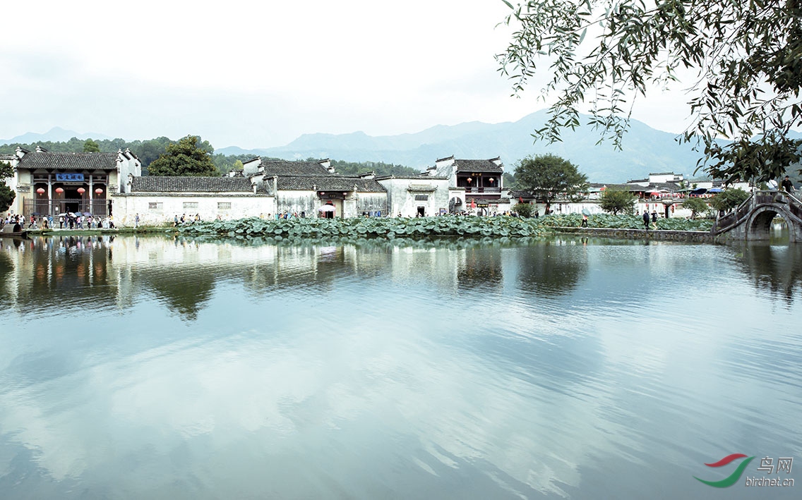 AT7A1192����.jpg