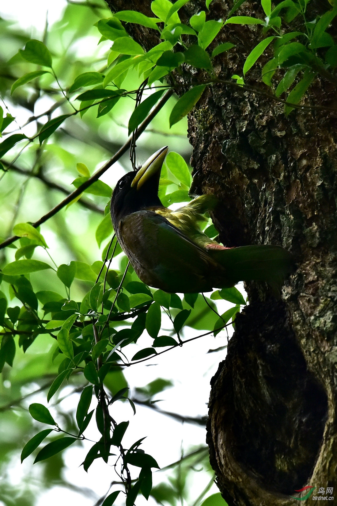 DSC_0080.JPG