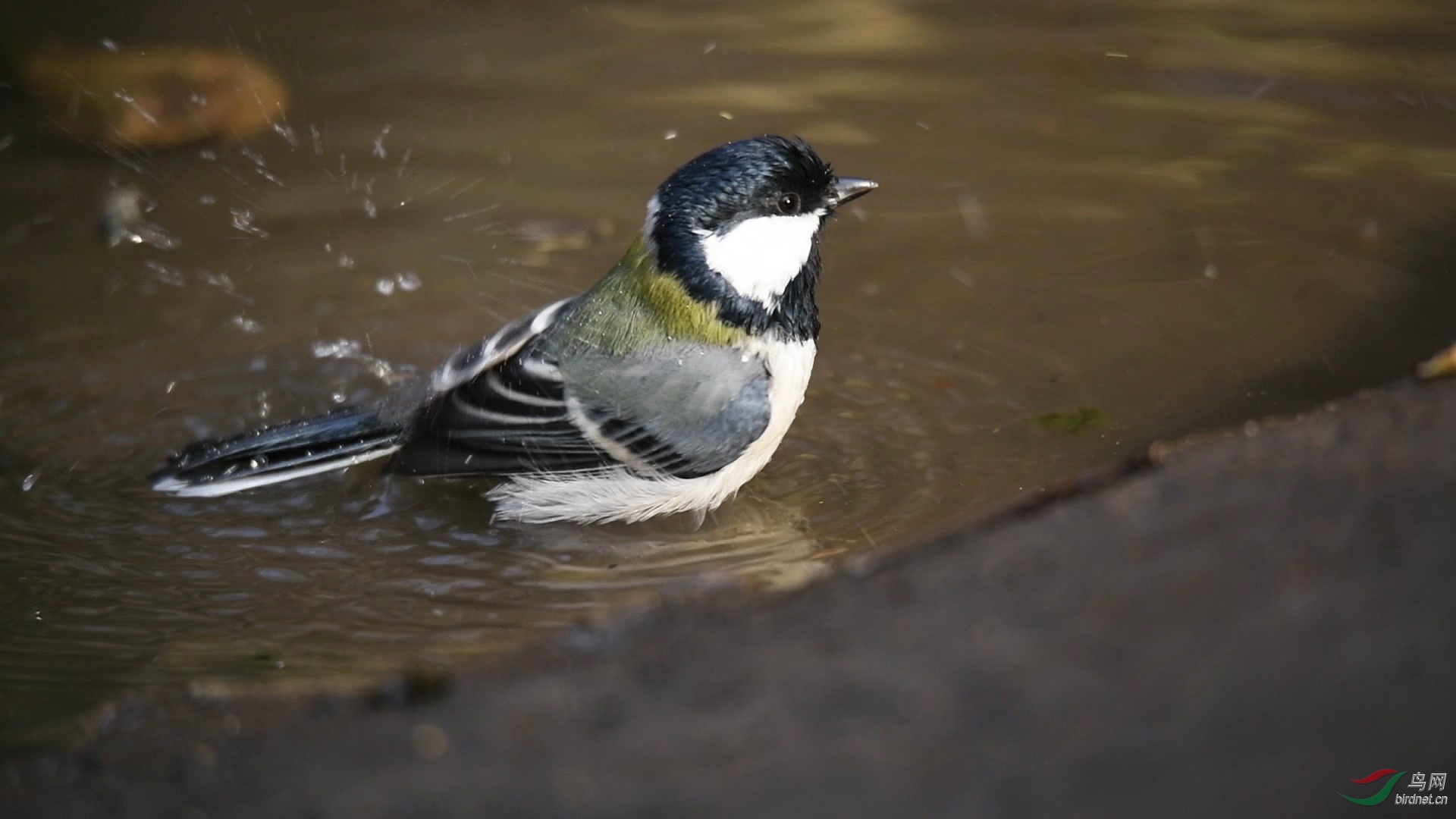 DSC_6387_Moment-02-p-1.jpg