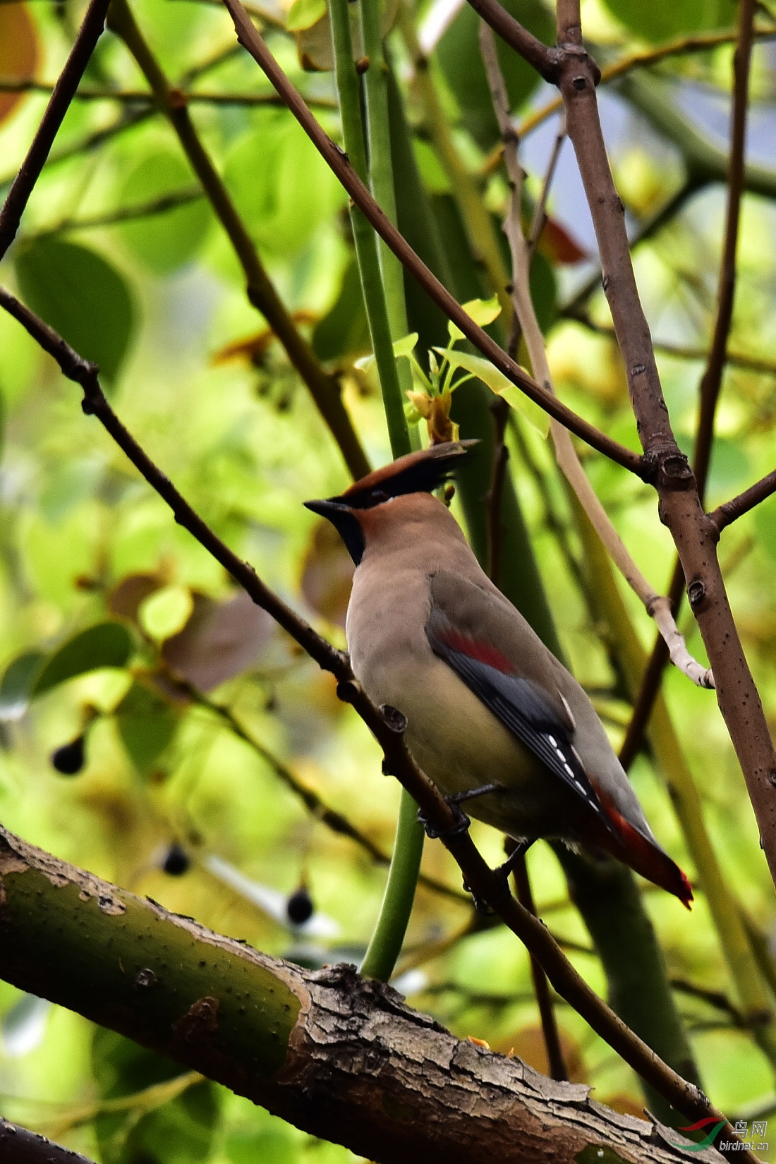 DSC_0874.JPG
