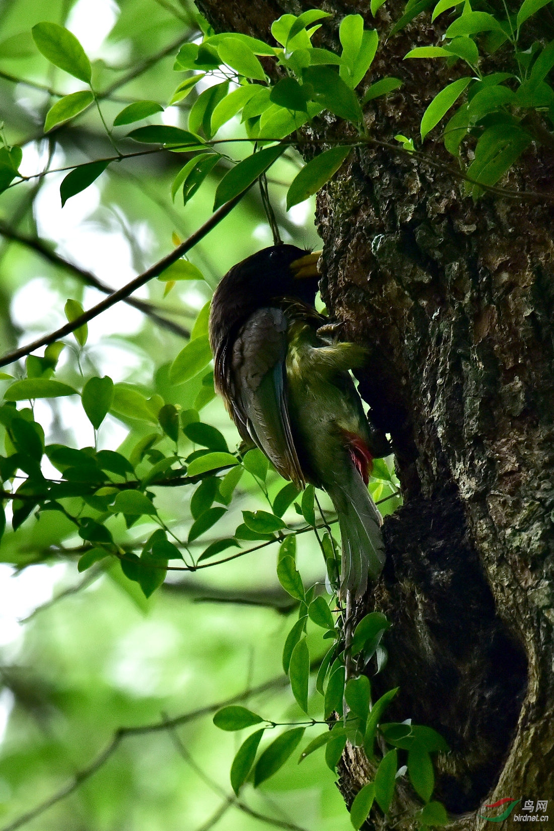 DSC_0082.JPG