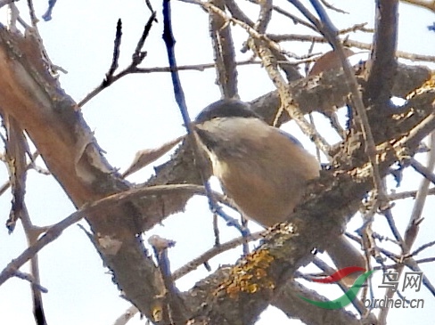 2�����ڸ�Ȫ��Ͽ��