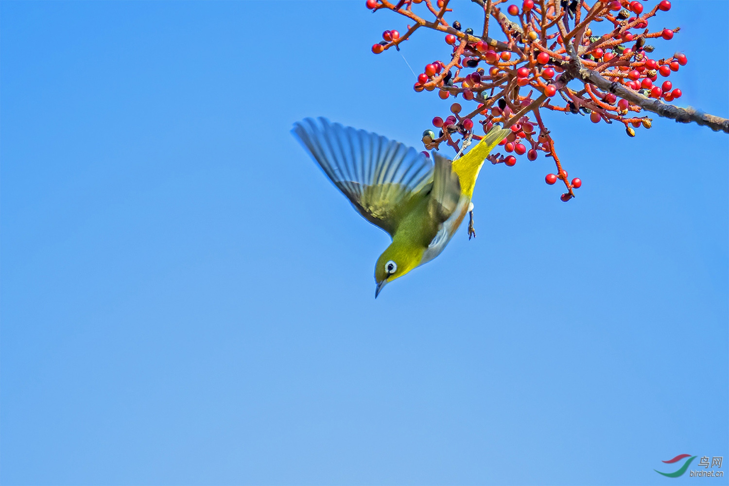 DSC_2072-1.jpg