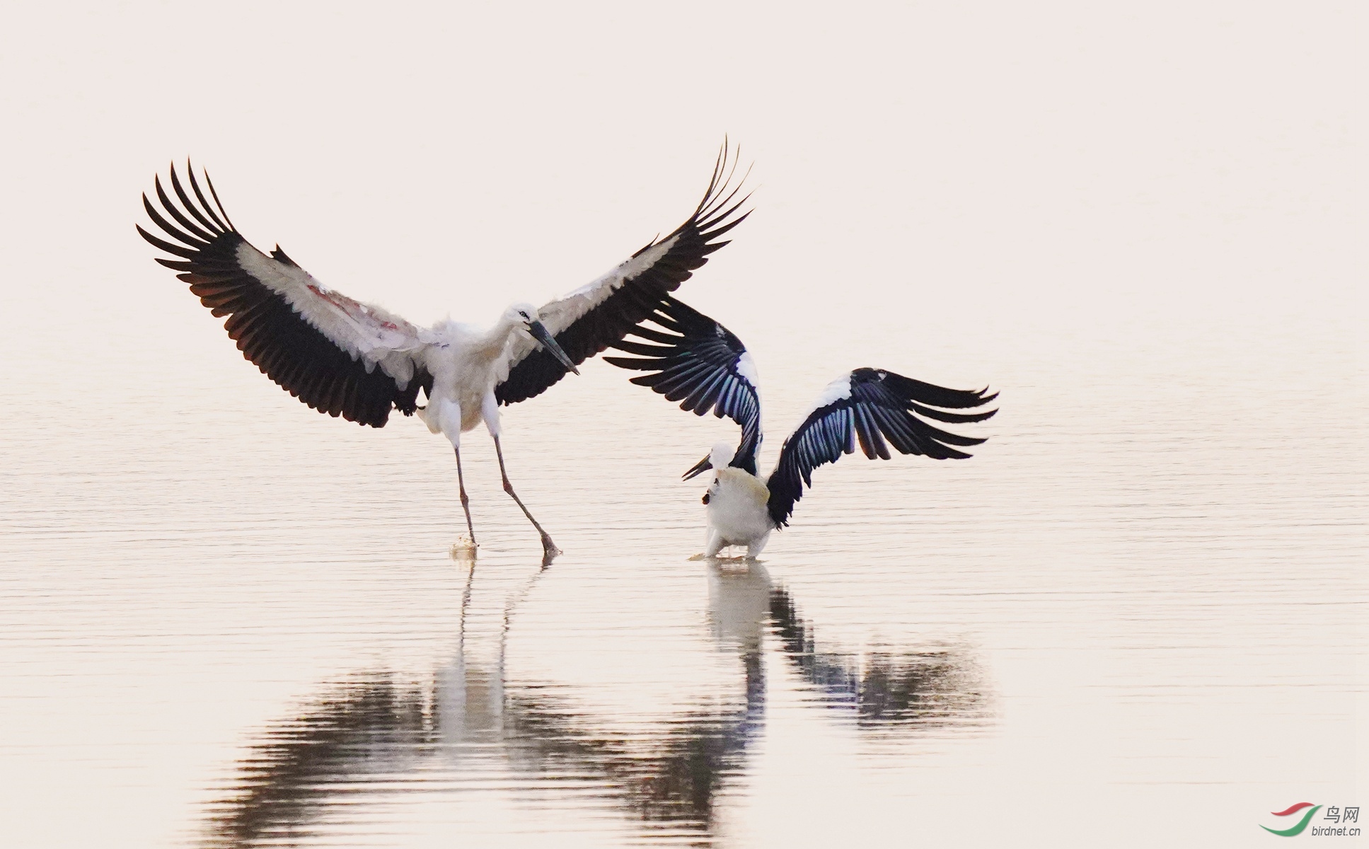 3 DSC07966_����.jpg