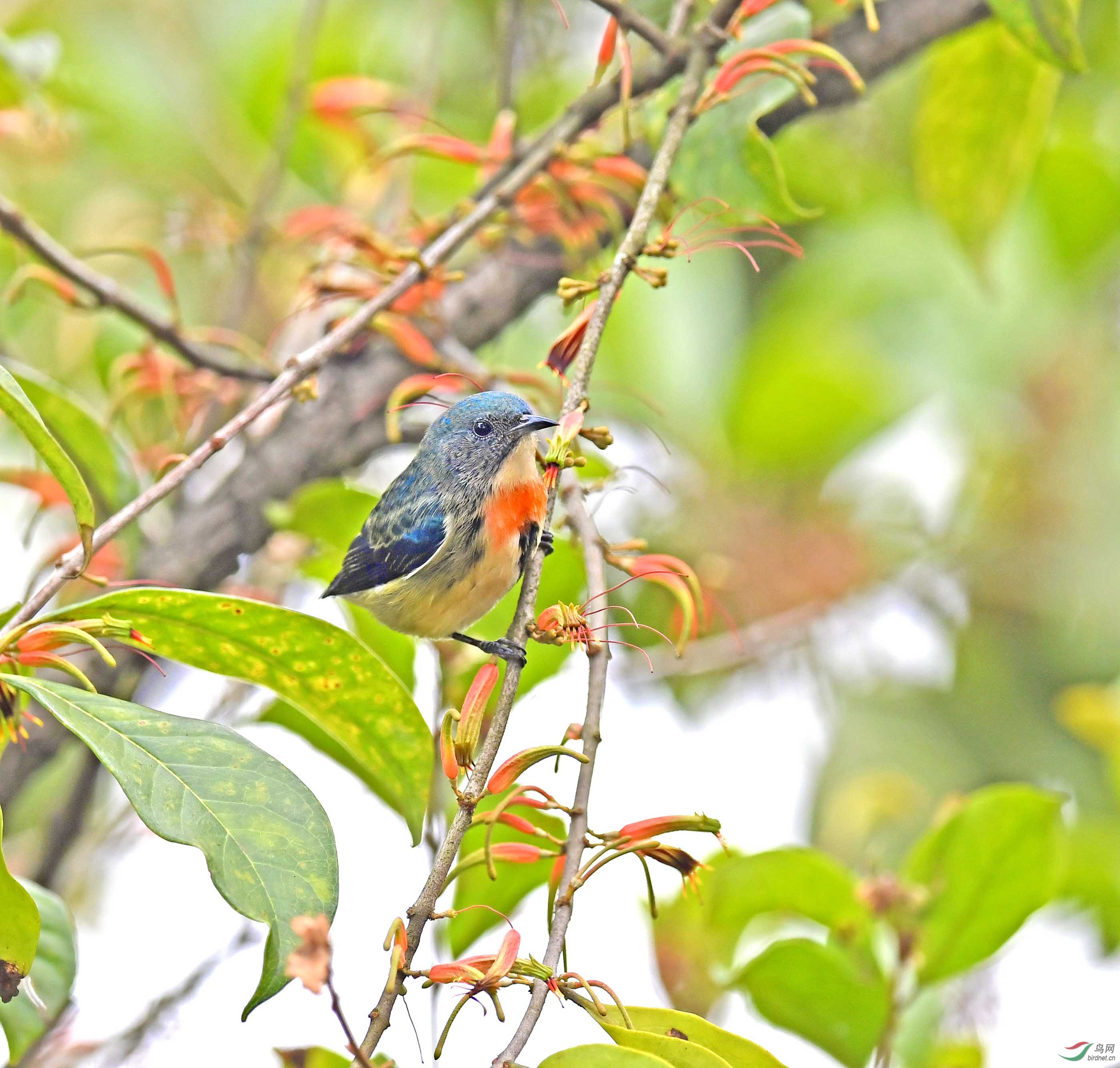 DSC_6140.JPG