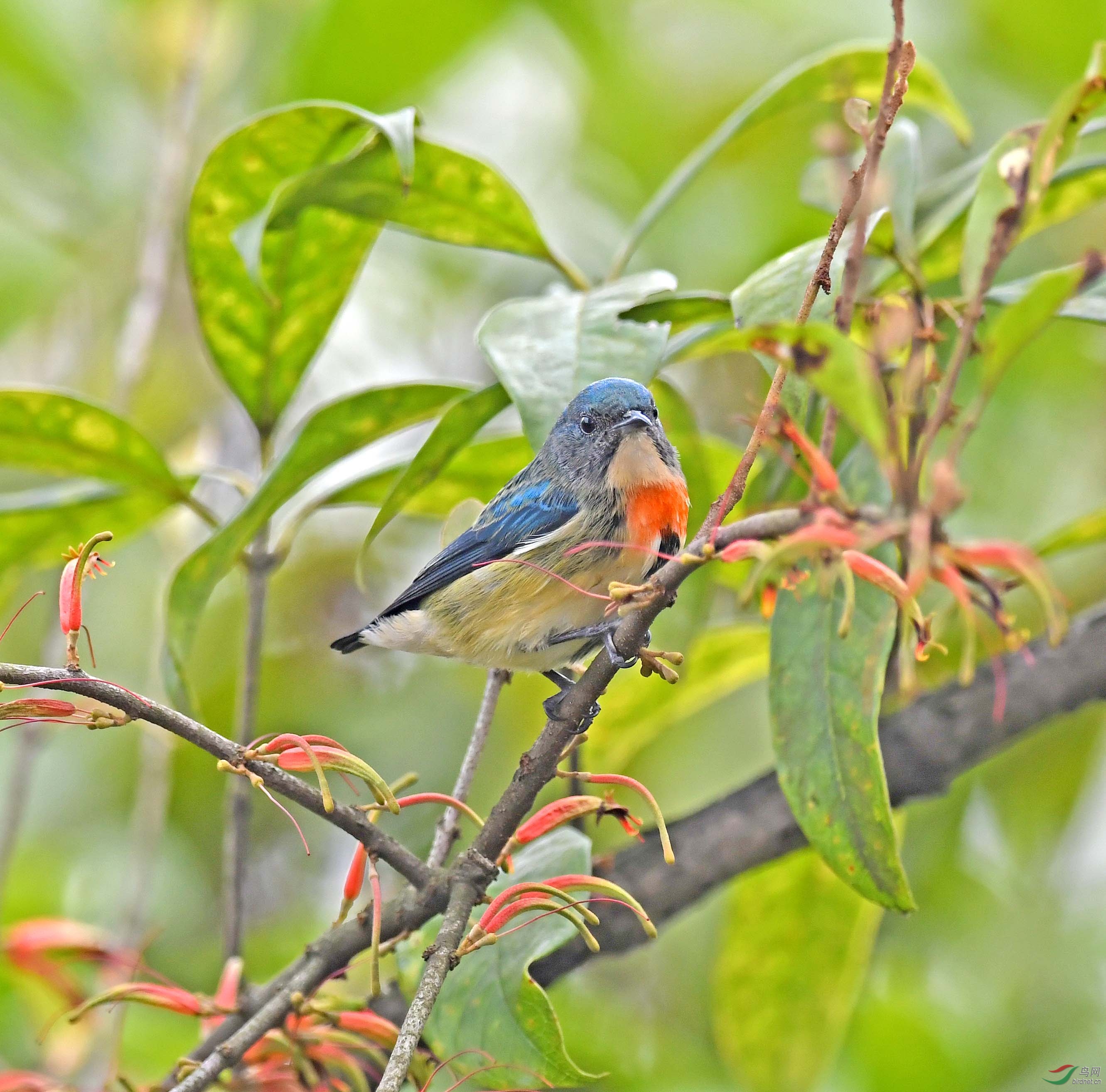 DSC_6142.JPG