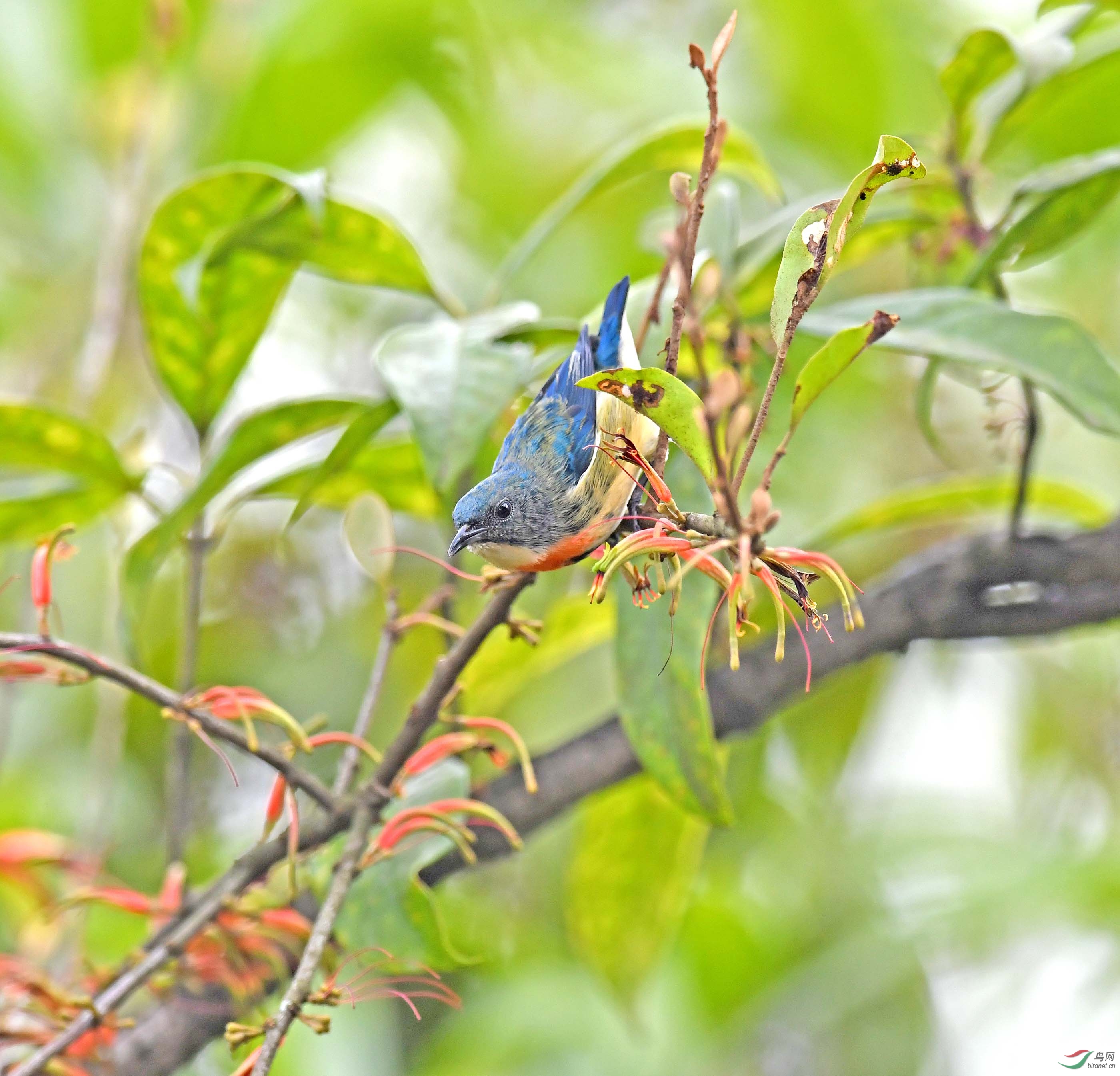 DSC_6144.JPG