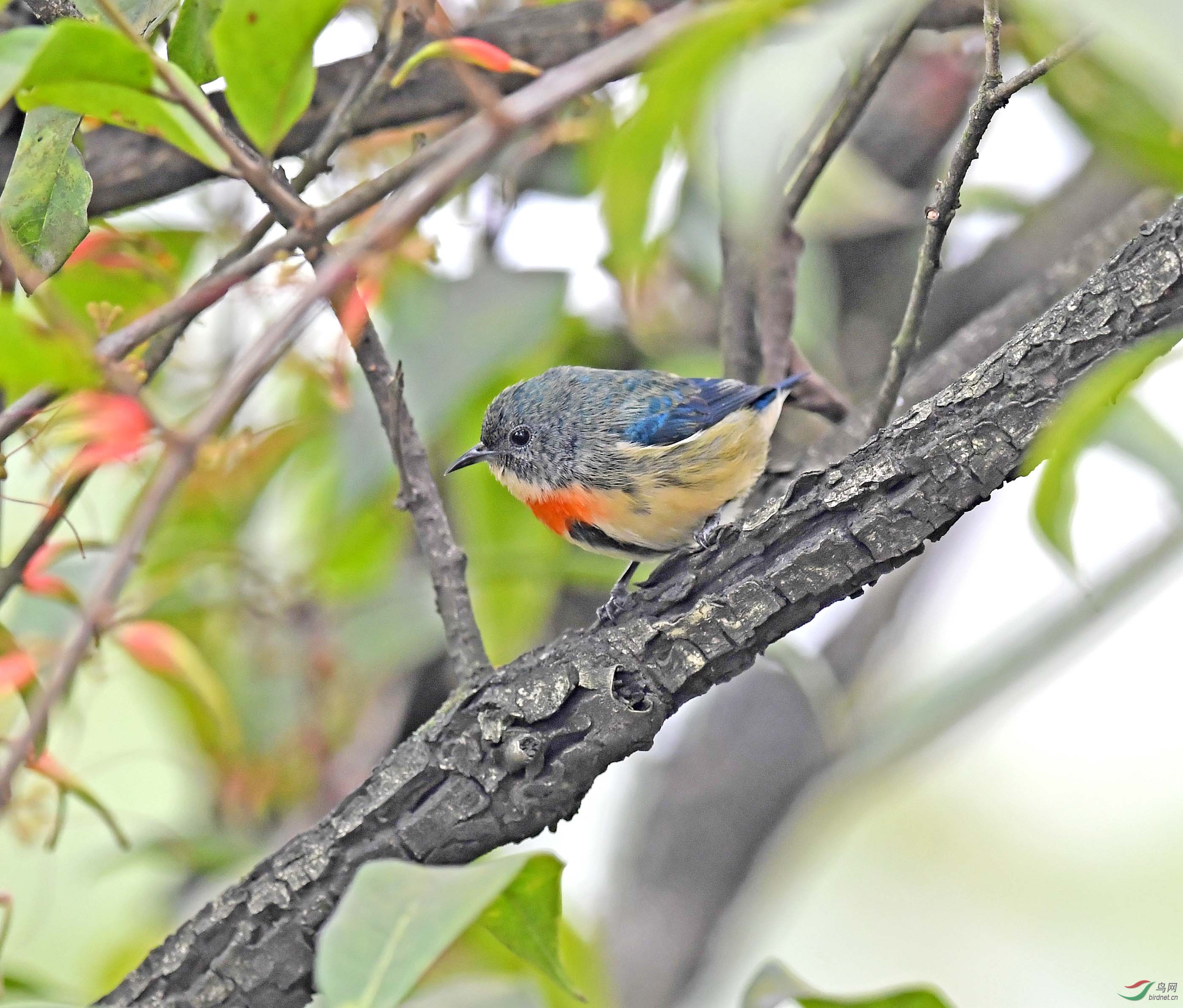 DSC_6145.JPG