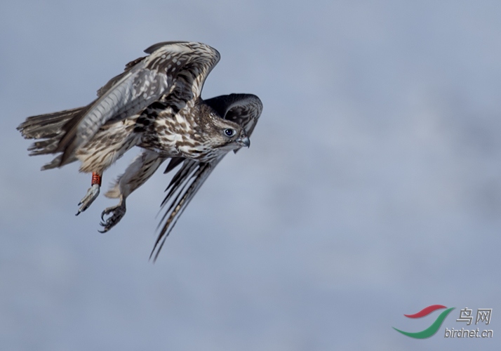 Photo taken on 2015-11-15 04-24-30 (7).jpg