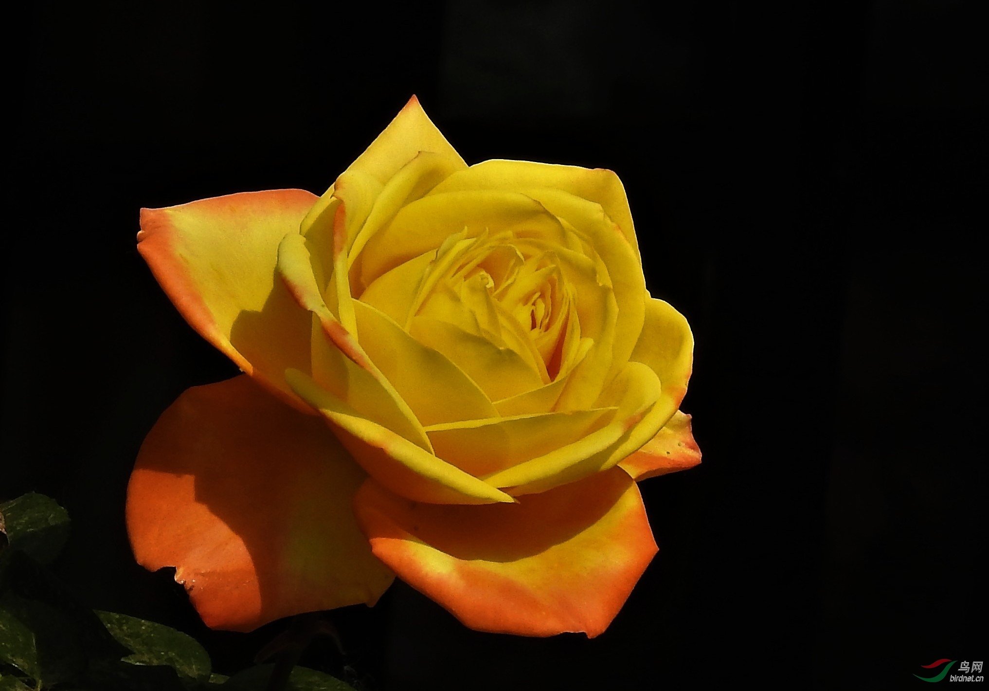 DSCN3835.JPG