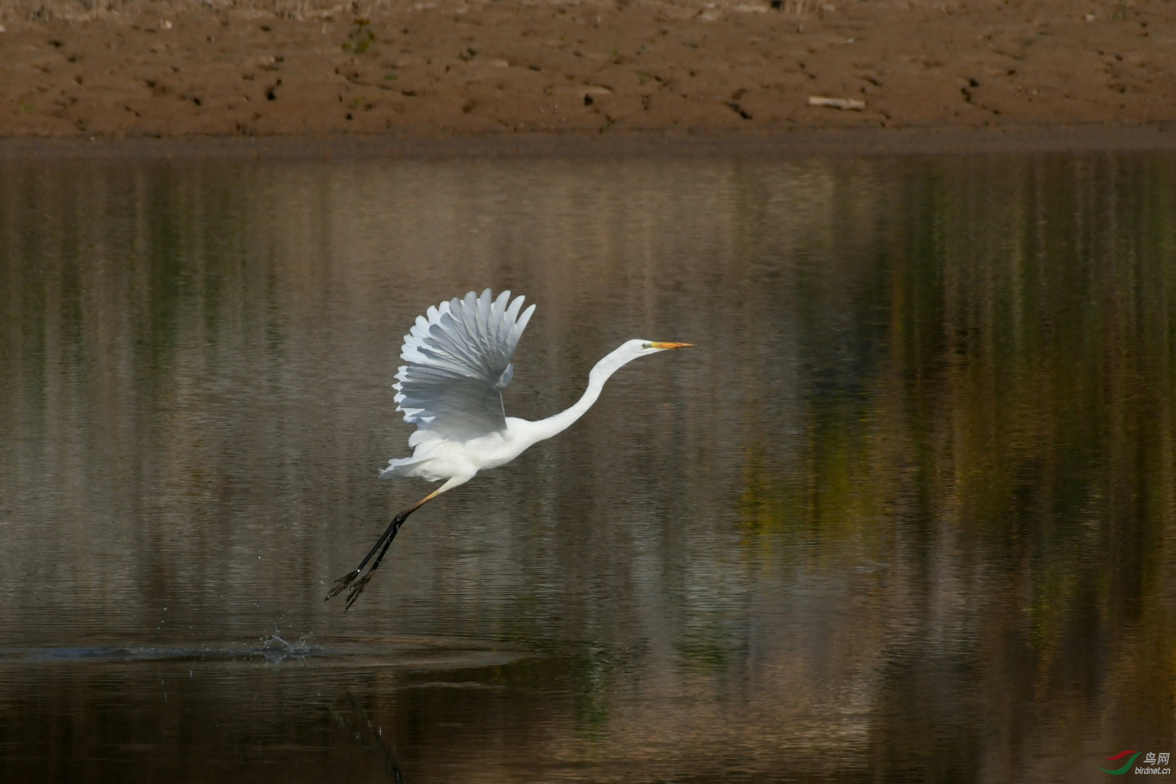 DSC_5641.JPG