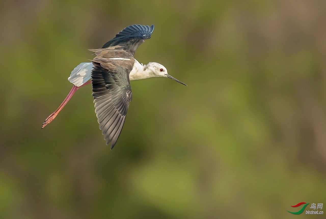 �ѻ����� ��ʦ�����ڽ���ʡ�Ͼ���.jpg