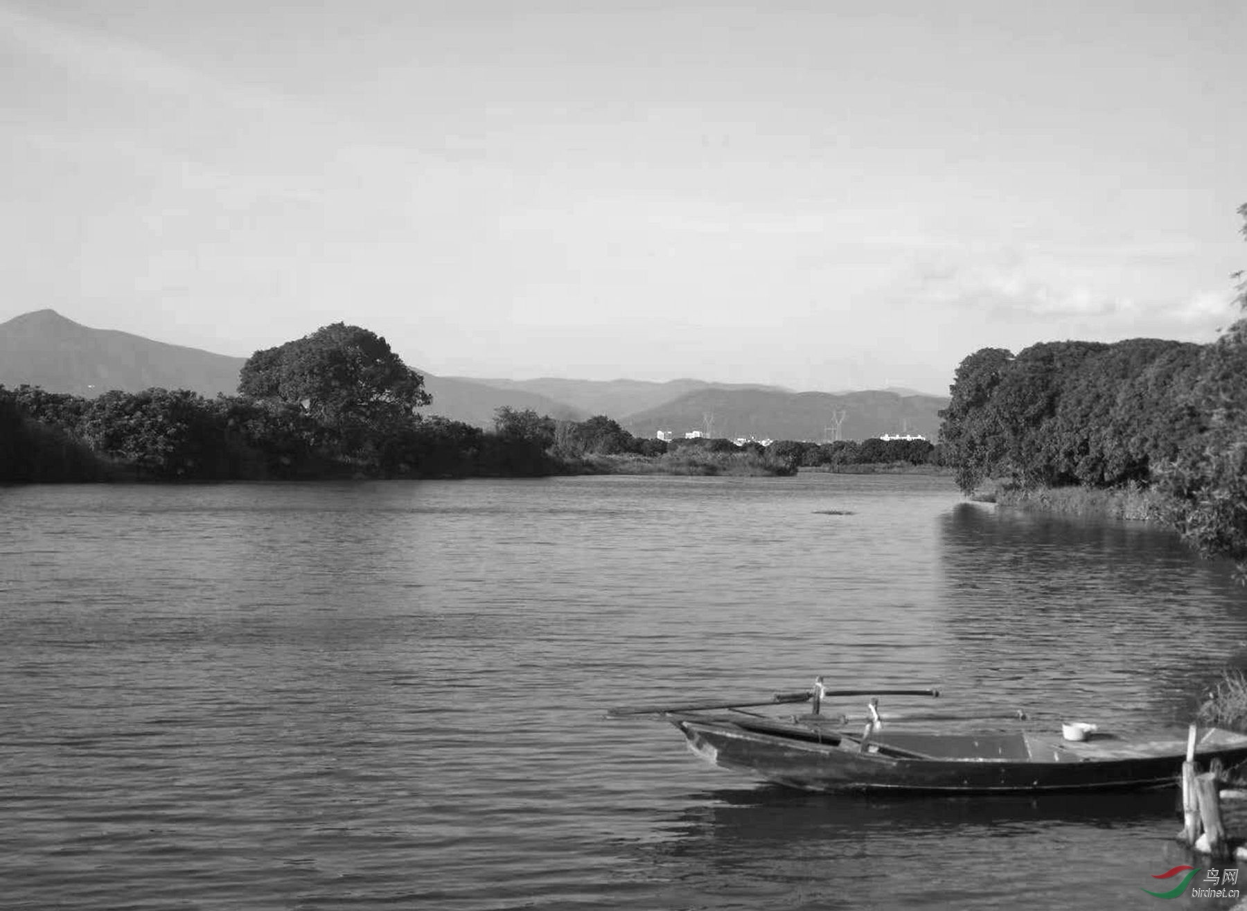 野渡无人舟自横