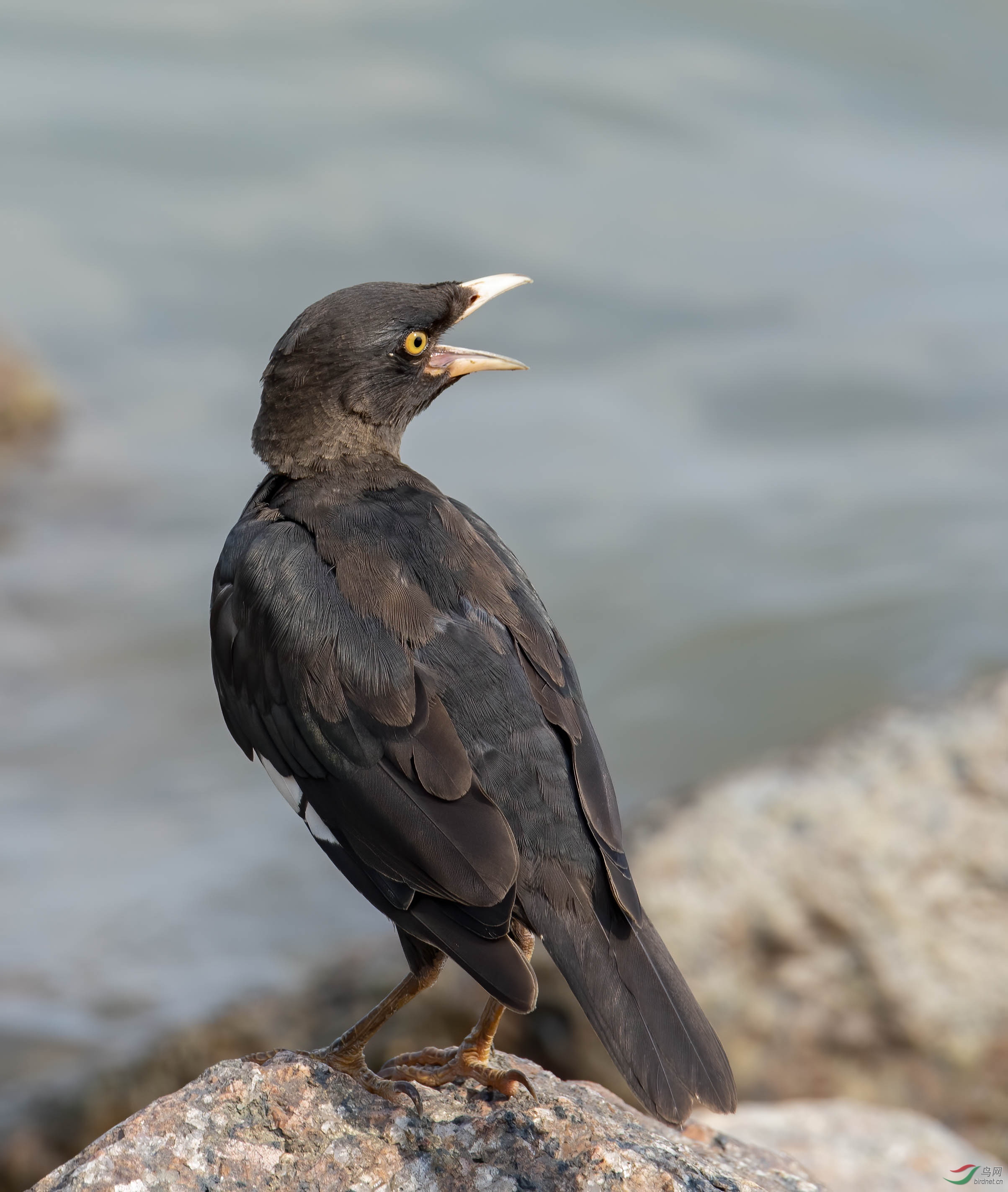 ����201909_345.jpg