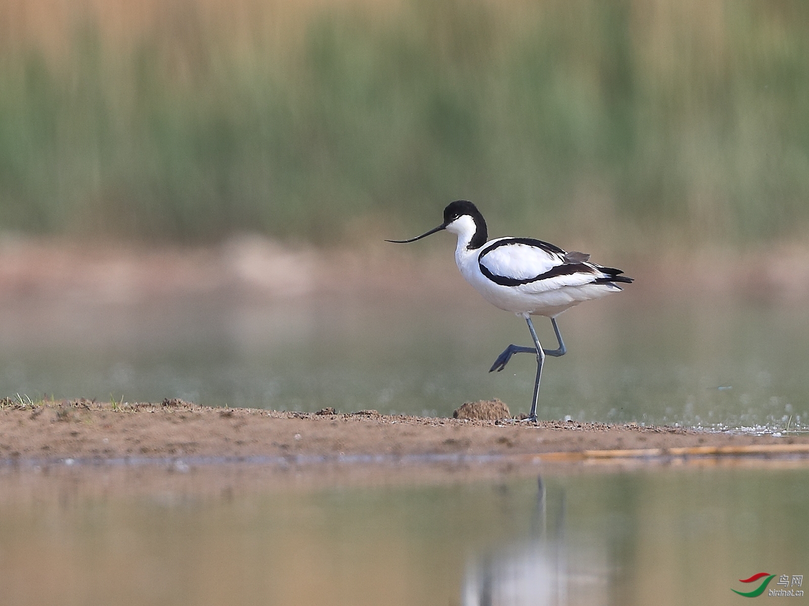 �ǲ� ��ʦ�����ںӱ�ʡʯ��ׯ��.jpg