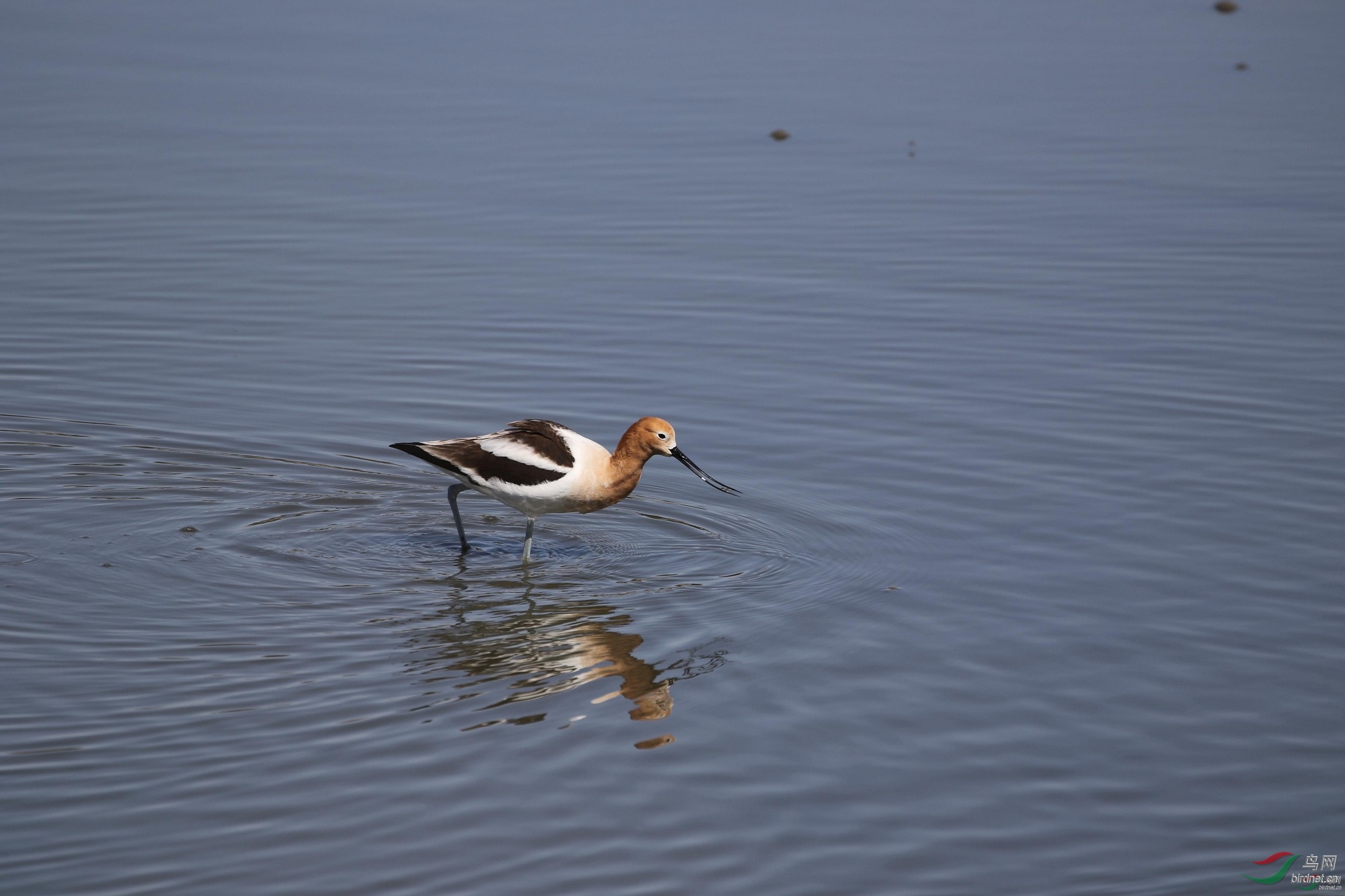 �ܱ��� ��ʦ����500.jpg