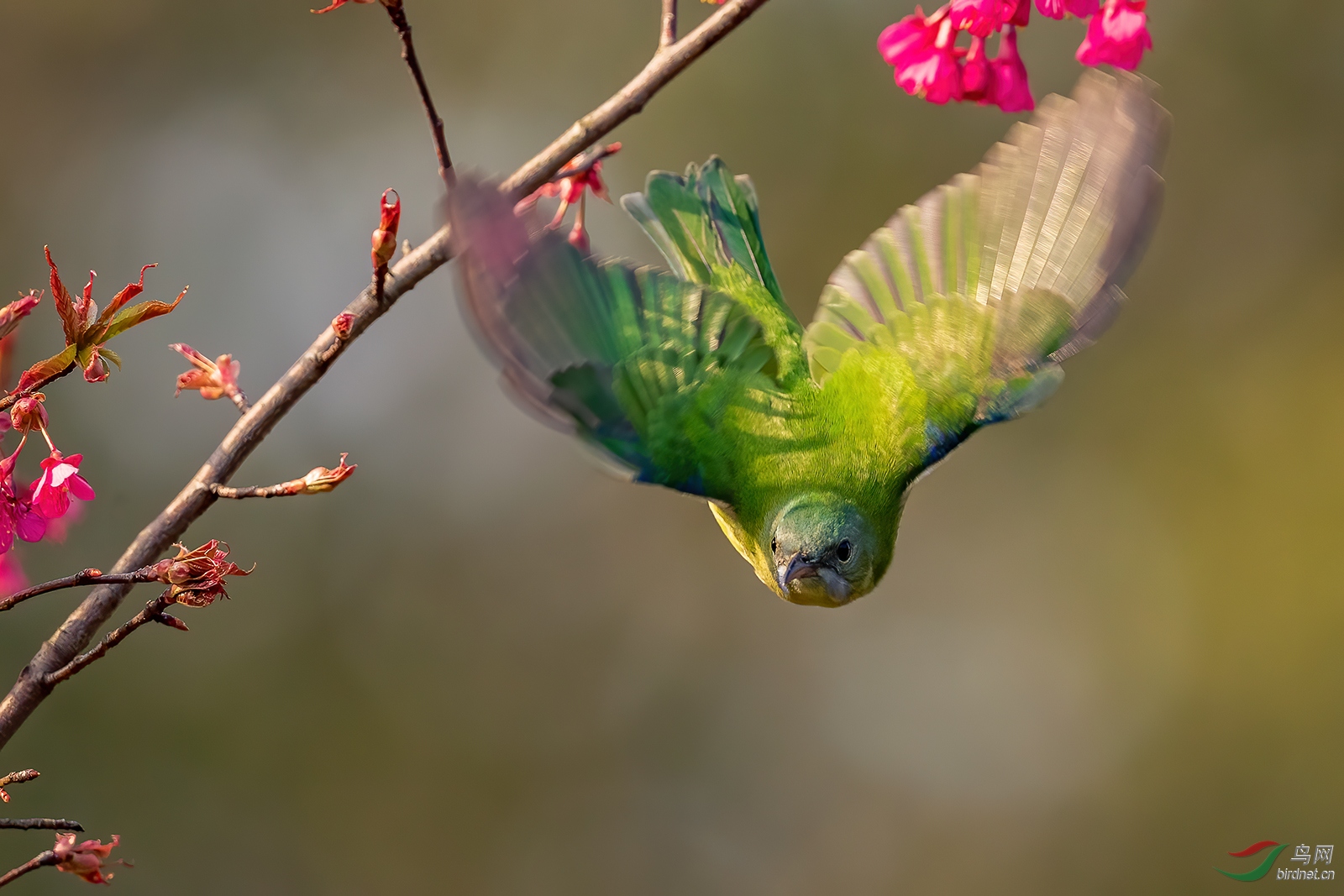 1DX_2923-1.jpg
