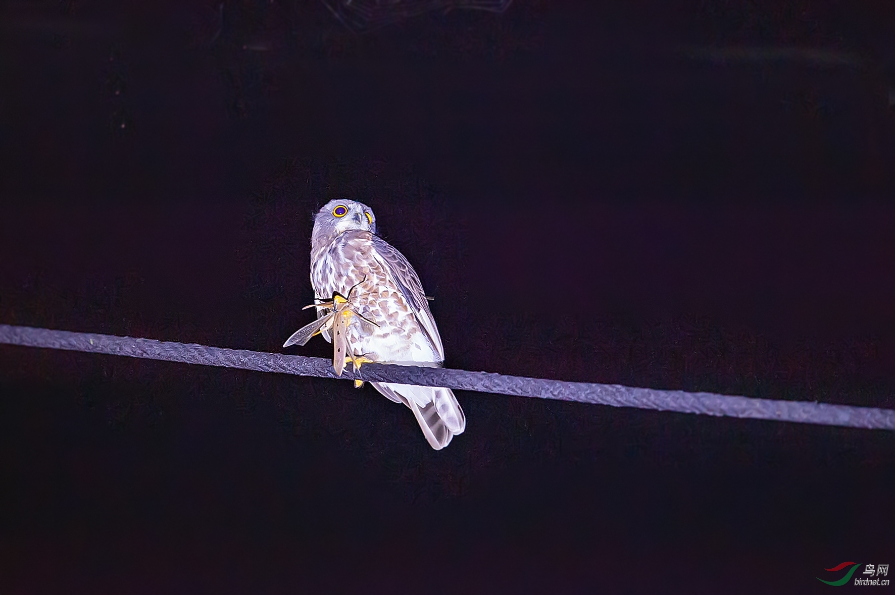 DSC_3565.jpg