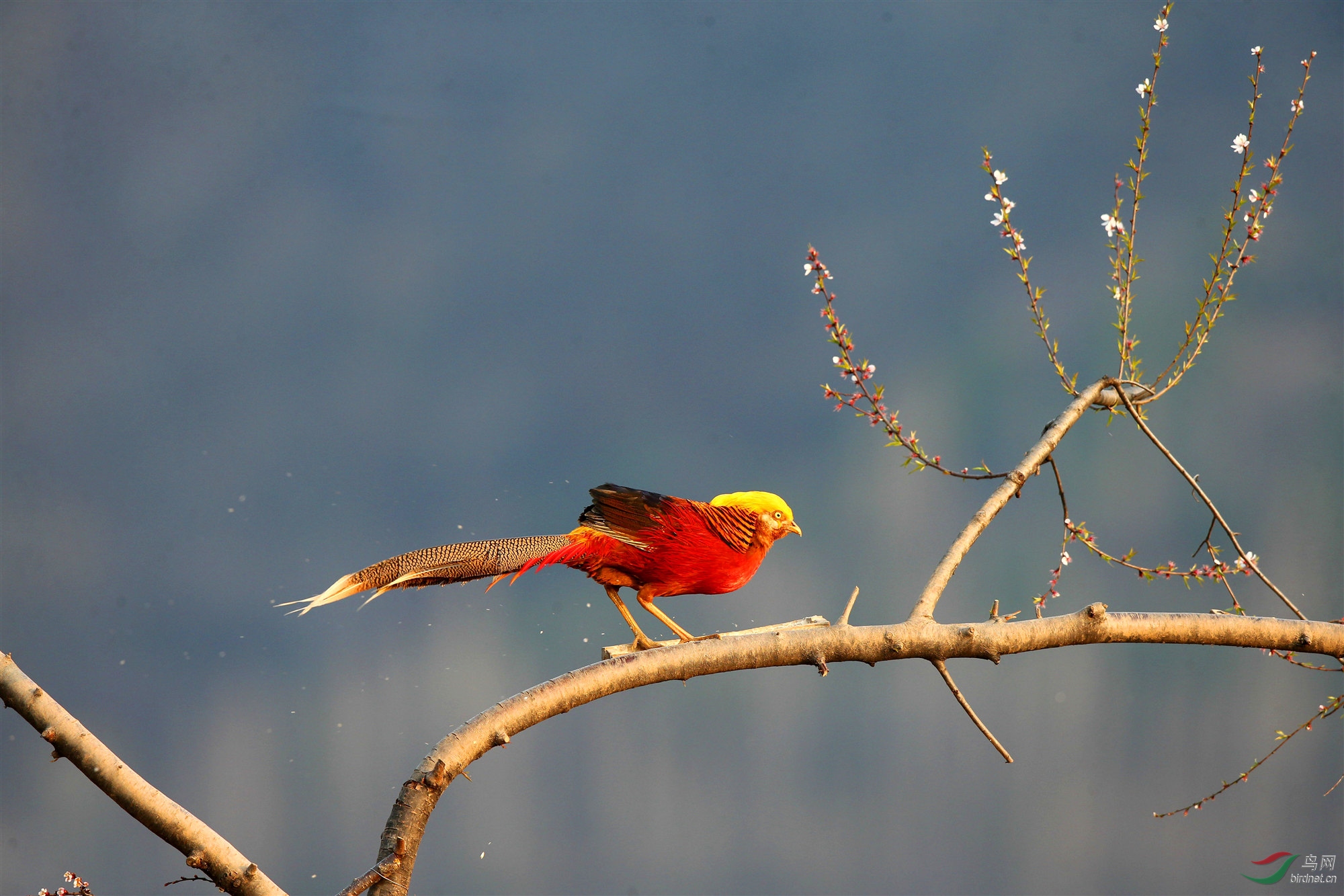 H46R5264_����_���� (2).jpg