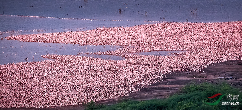 �����ڿ����ǲ������Ǻ���