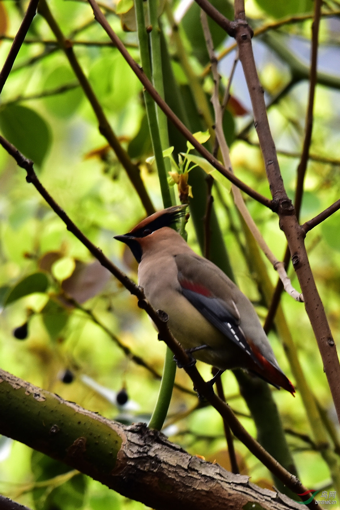 DSC_0882.JPG