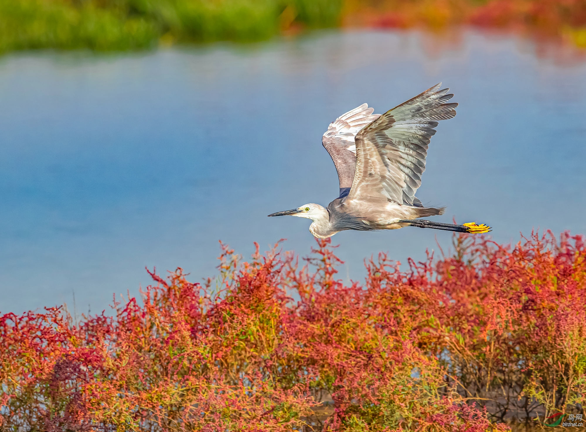 2020��ĻҰ���