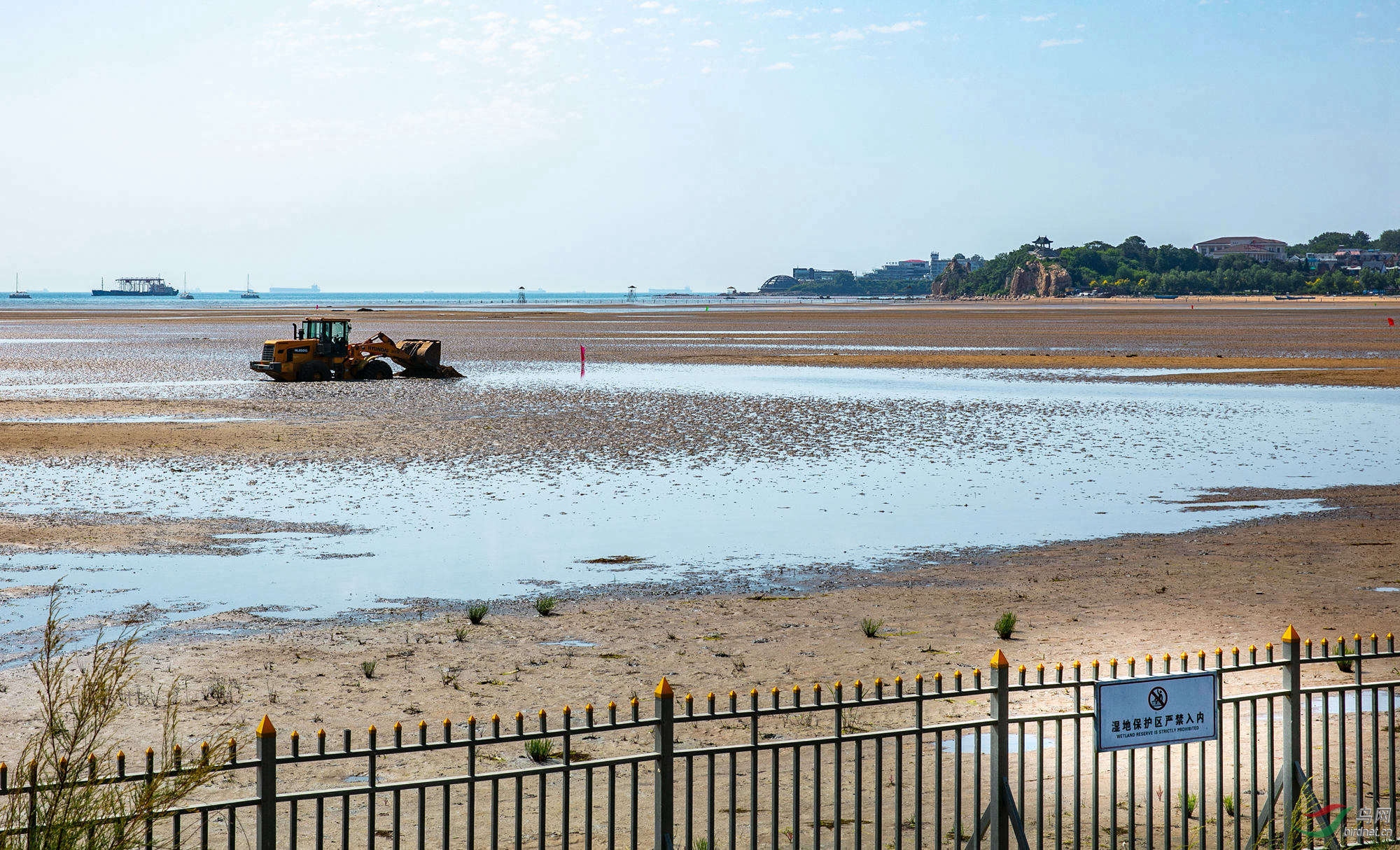 2020����Ľ��뱱����ʪ�ص�����