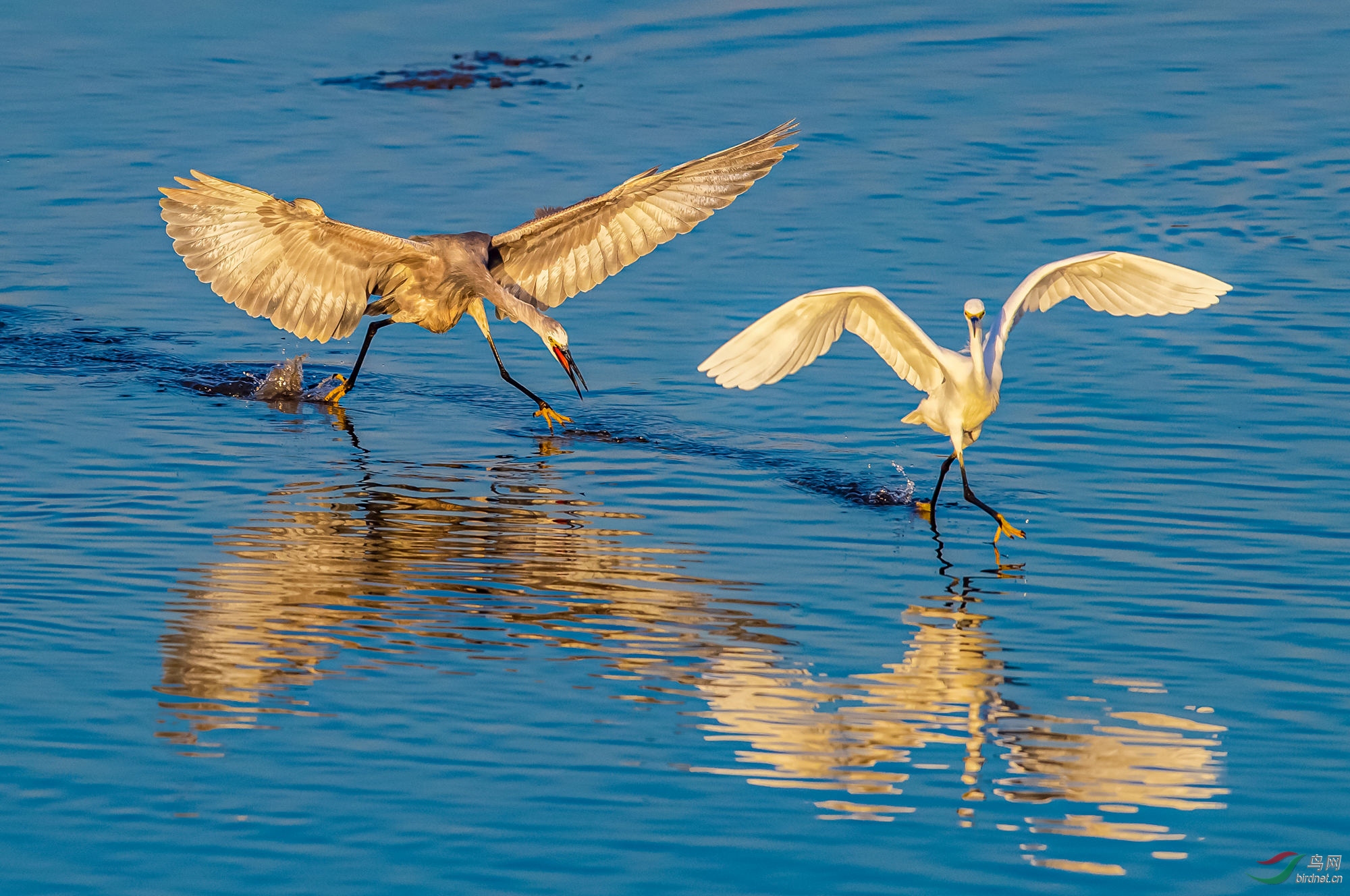 2020��ĻҰ���